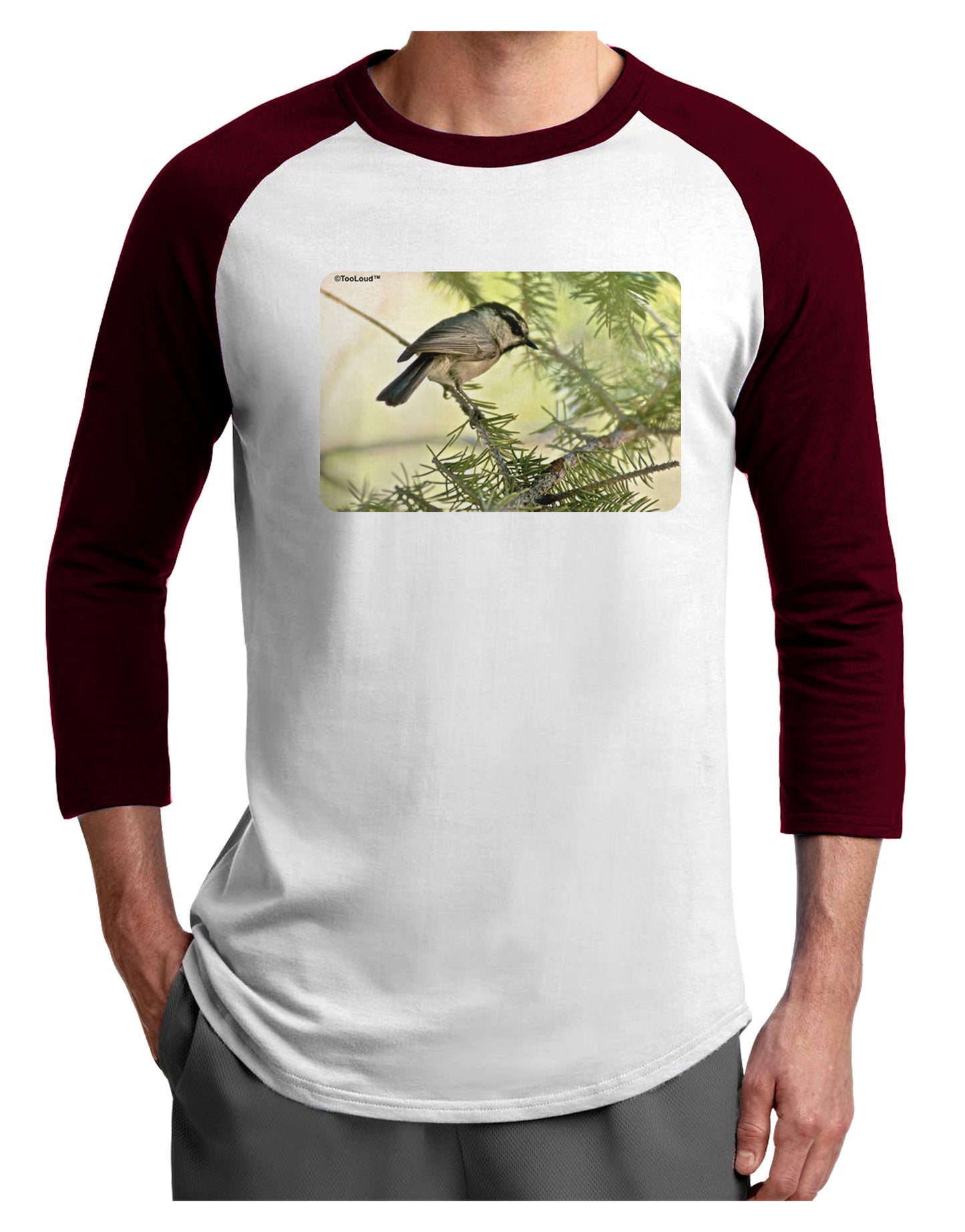 CO Chickadee Adult Raglan Shirt-Raglan Shirt-TooLoud-White-Cardinal-X-Small-Davson Sales