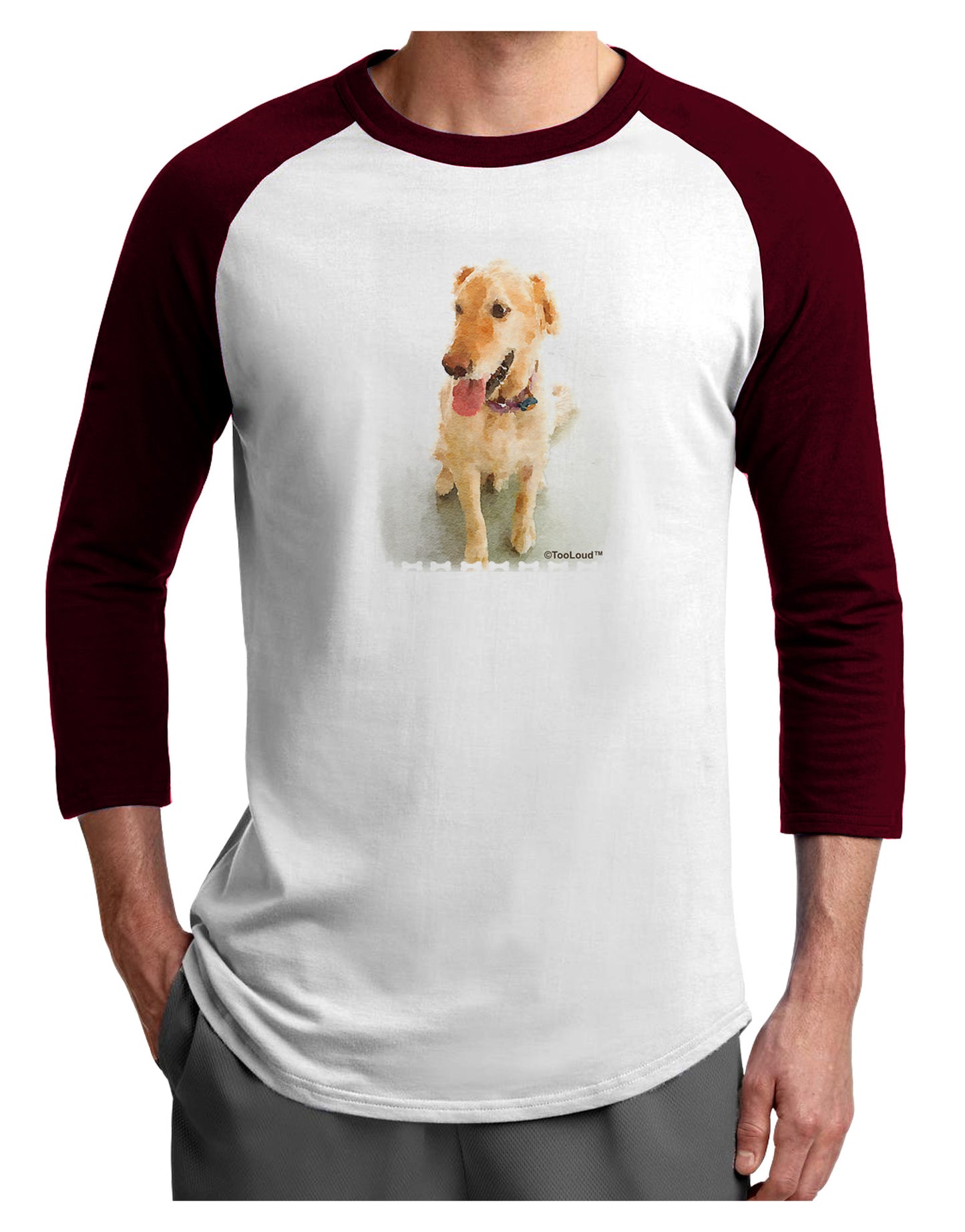 Golden Retriever Watercolor Adult Raglan Shirt-Raglan Shirt-TooLoud-White-Cardinal-X-Small-Davson Sales