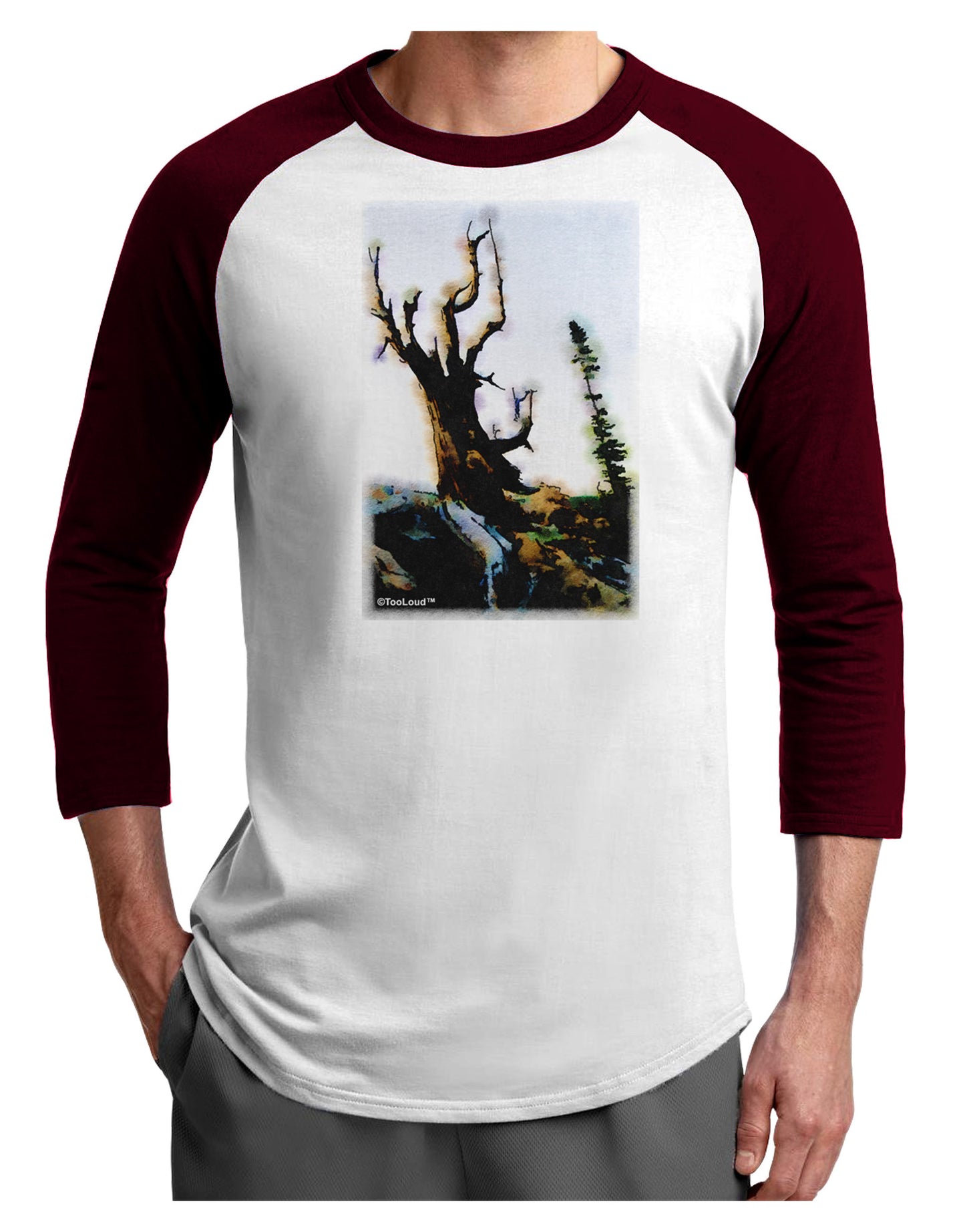 CO Mountain Scenery Watercolor Adult Raglan Shirt-TooLoud-White-Cardinal-X-Small-Davson Sales