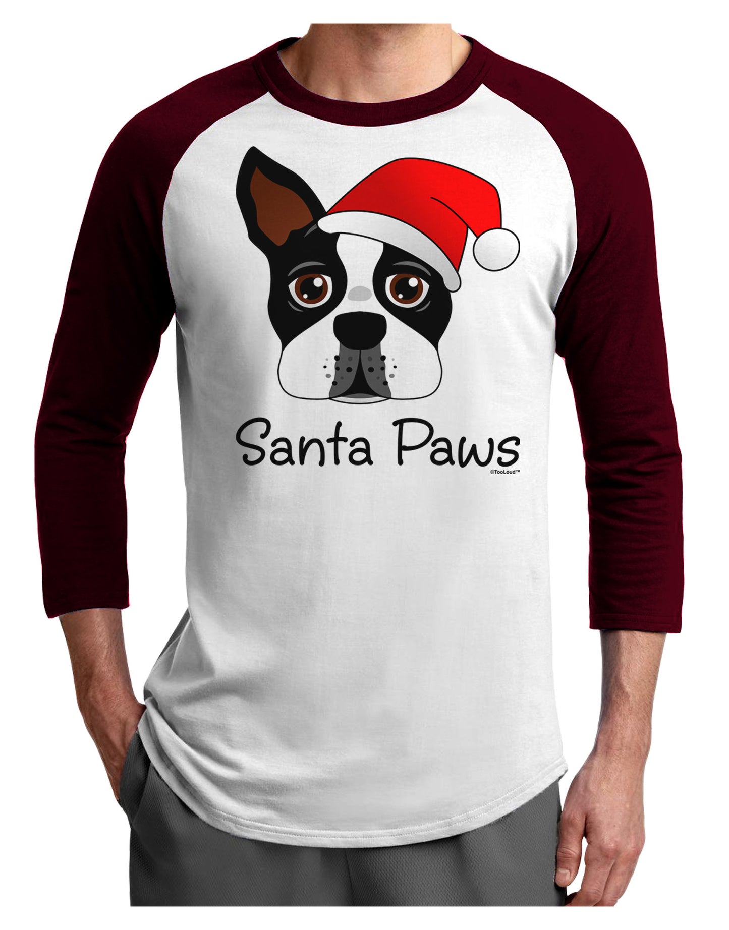 Santa Paws Christmas Dog Adult Raglan Shirt-TooLoud-White-Cardinal-X-Small-Davson Sales