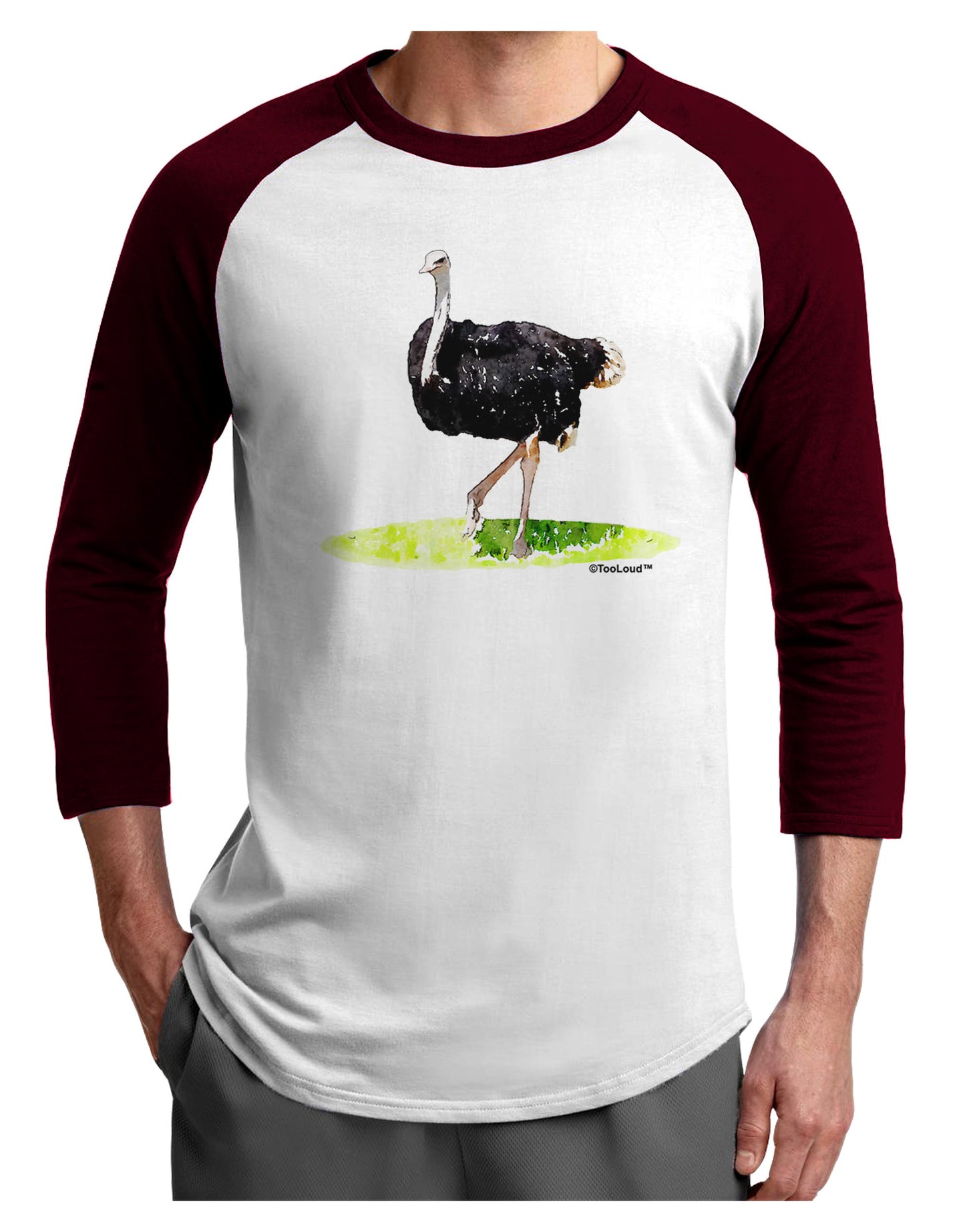 Ostrich Watercolor Adult Raglan Shirt-TooLoud-White-Cardinal-X-Small-Davson Sales