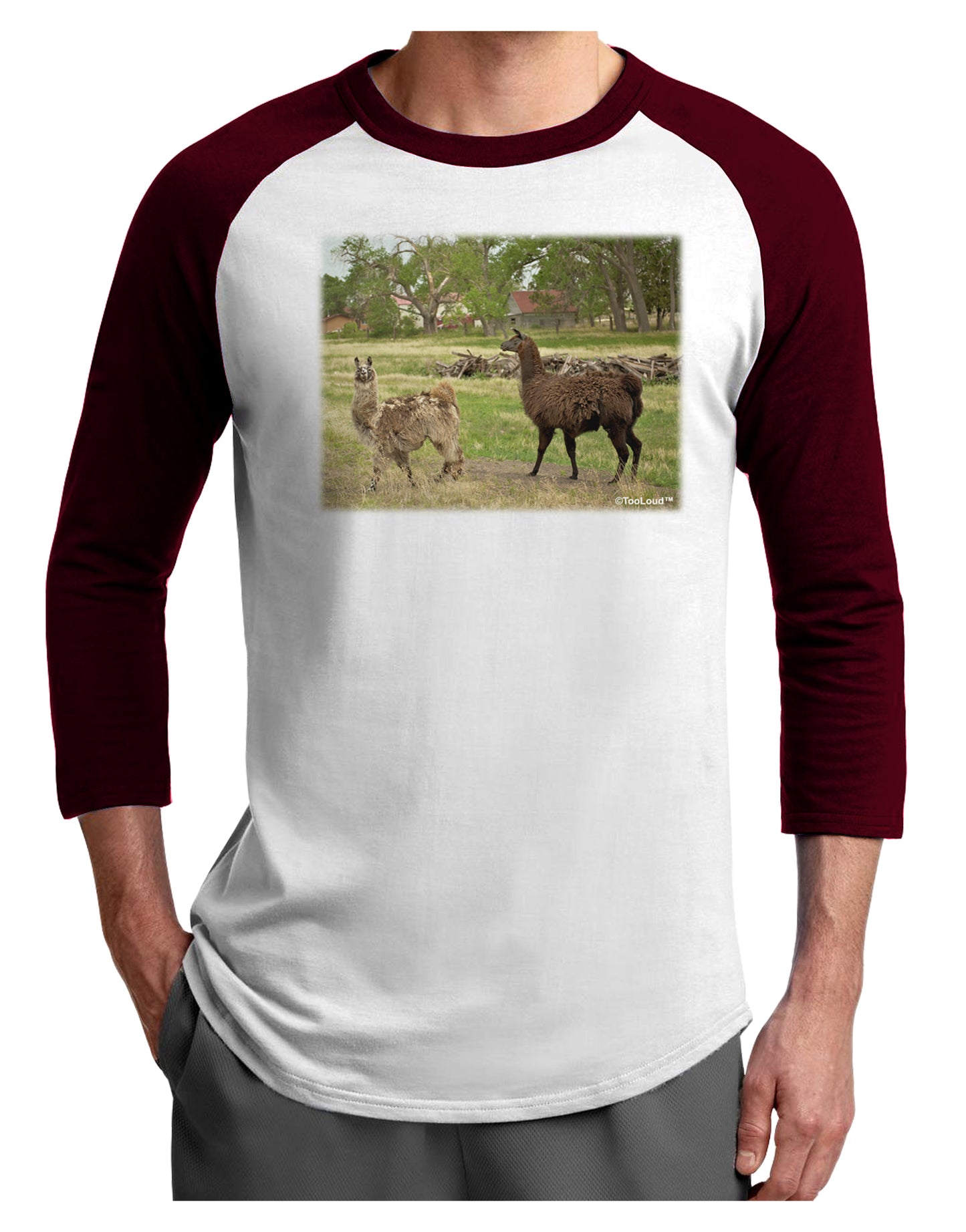 Standing Llamas Adult Raglan Shirt by TooLoud-TooLoud-White-Cardinal-X-Small-Davson Sales