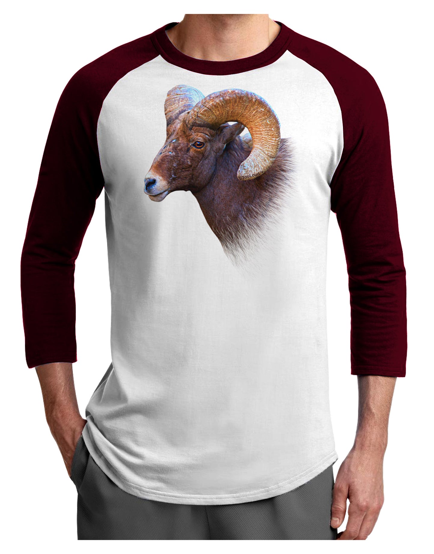 Majestic Bighorn Ram Adult Raglan Shirt-Raglan Shirt-TooLoud-White-Cardinal-X-Small-Davson Sales
