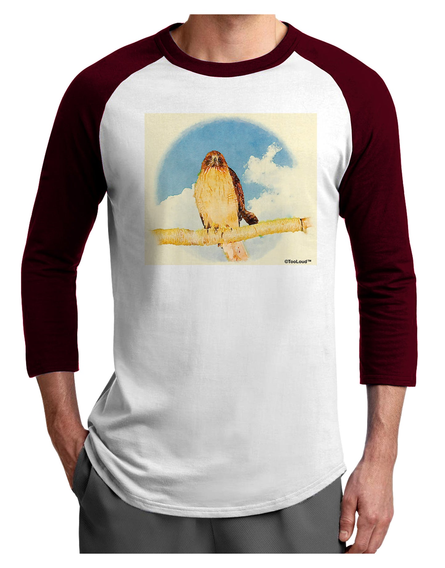Red-tailed Hawk Adult Raglan Shirt-TooLoud-White-Cardinal-X-Small-Davson Sales