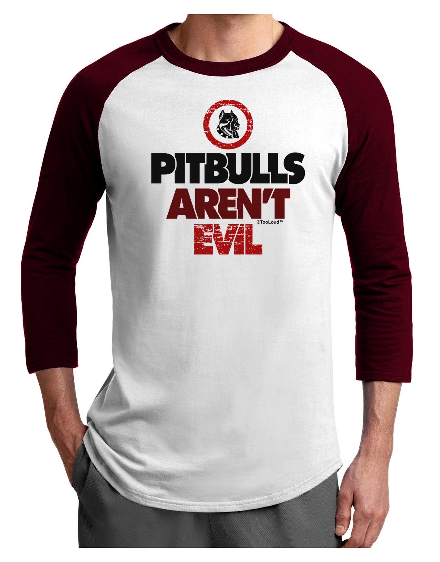 Distressed Pitbulls Aren't Evil Adult Raglan Shirt-TooLoud-White-Cardinal-X-Small-Davson Sales