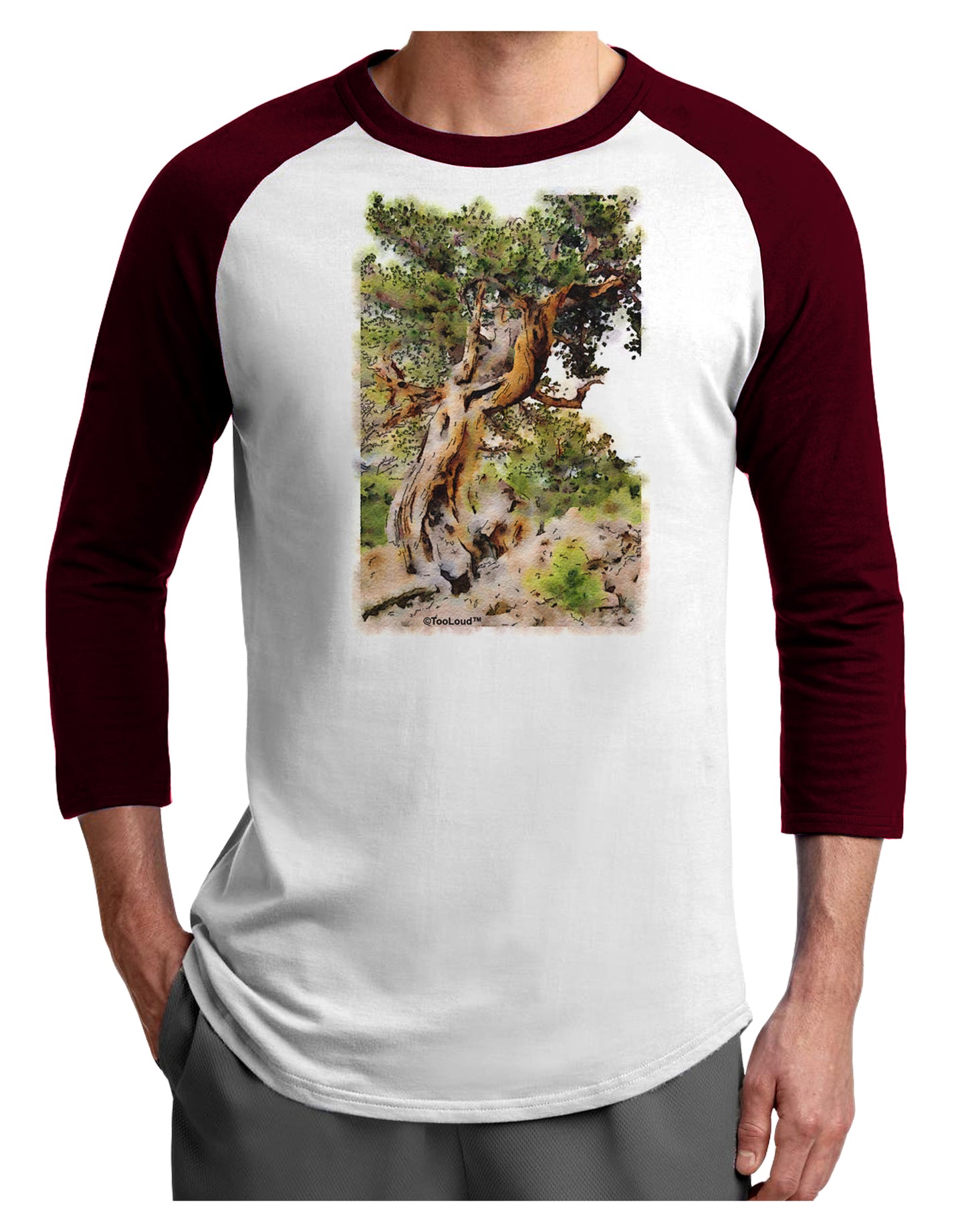 Bristlecone Pines Adult Raglan Shirt-TooLoud-White-Cardinal-X-Small-Davson Sales