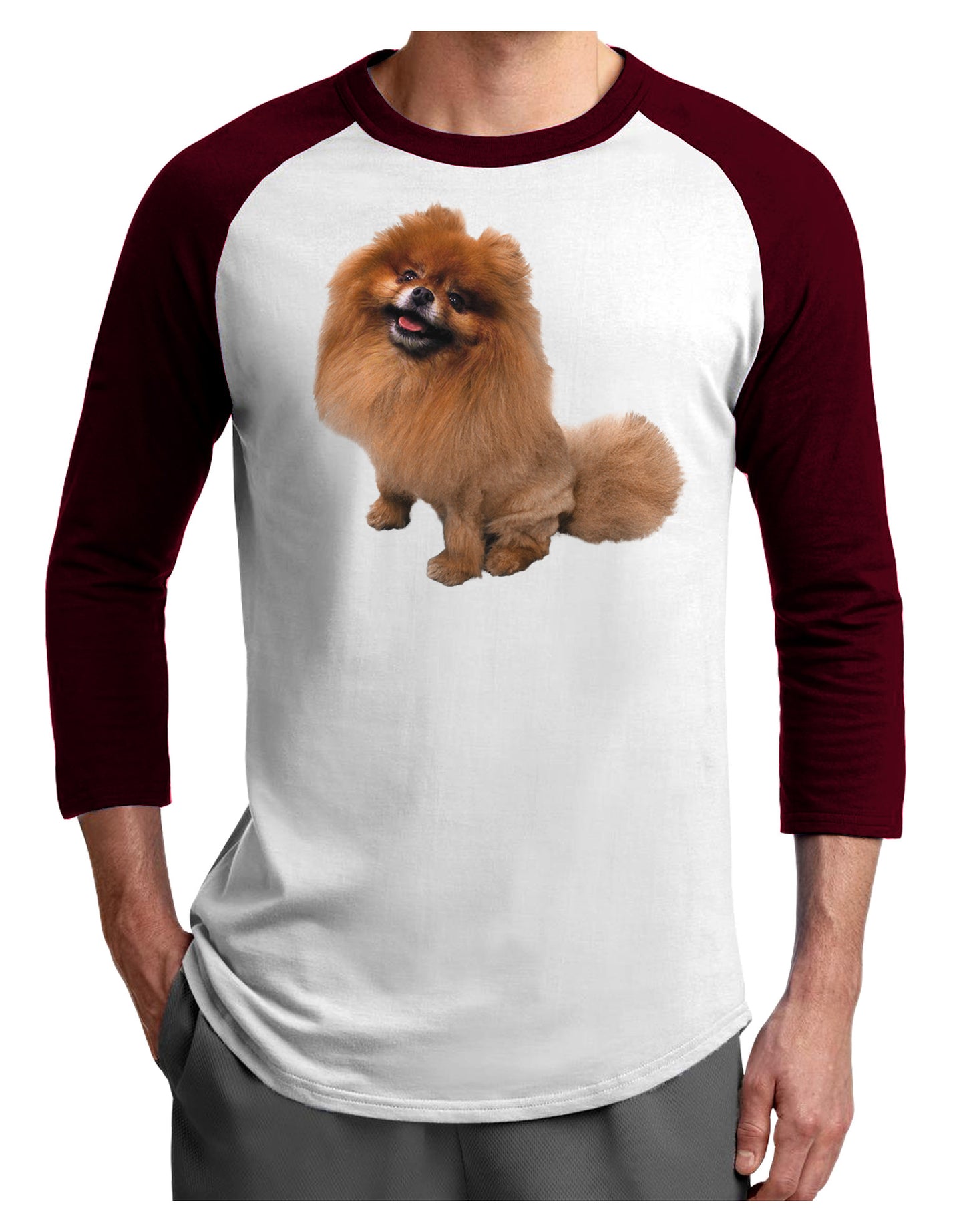 Pomeranian Sitting All Cute-Like Adult Raglan Shirt-Raglan Shirt-TooLoud-White-Cardinal-X-Small-Davson Sales