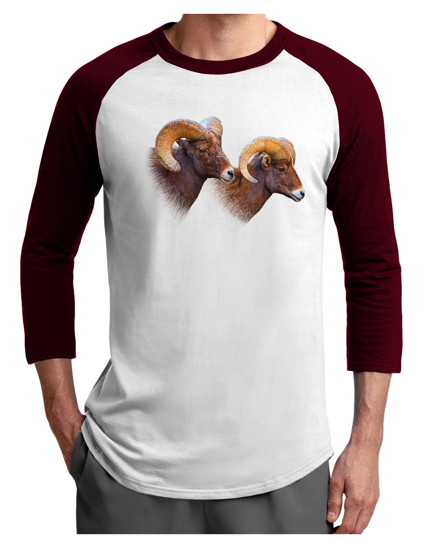 TooLoud Two Majestic Bighorn Rams Adult Raglan Shirt-Raglan Shirt-TooLoud-White-Cardinal-X-Small-Davson Sales