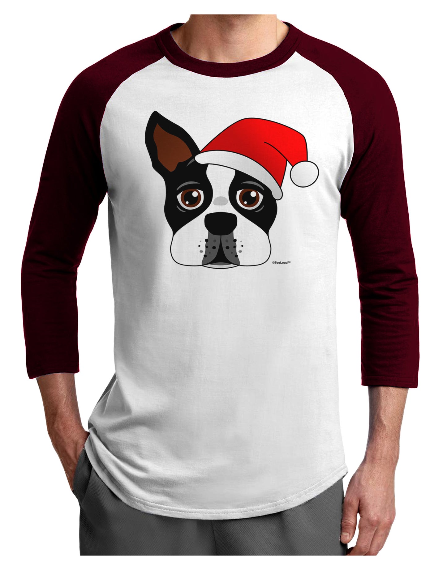 Cute Dog with Santa Hat - Christmas Adult Raglan Shirt-TooLoud-White-Cardinal-X-Small-Davson Sales