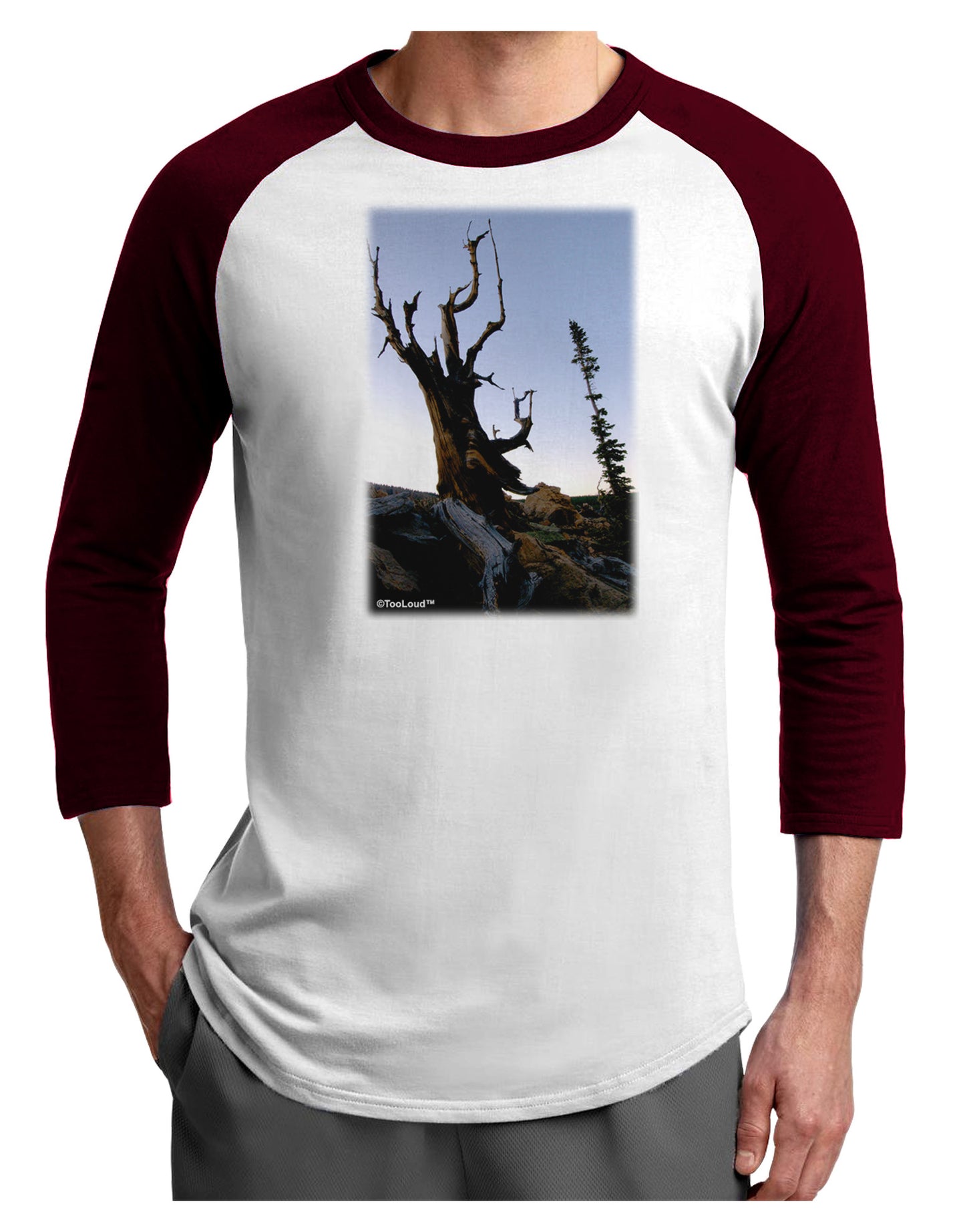 Colorado Mountain Scenery Adult Raglan Shirt-TooLoud-White-Cardinal-X-Small-Davson Sales