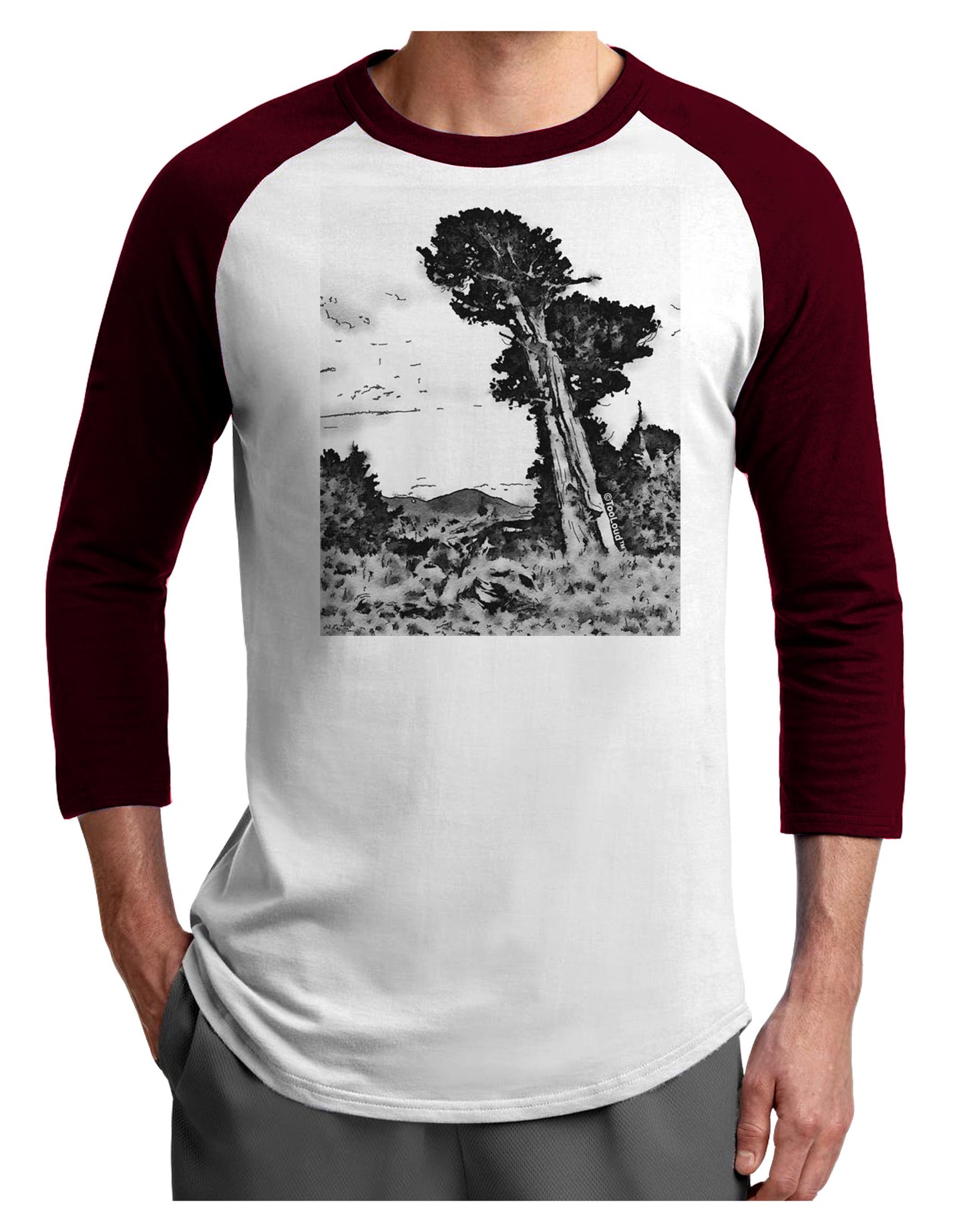 Colorado Landscape Watercolor BW Adult Raglan Shirt-TooLoud-White-Cardinal-X-Small-Davson Sales