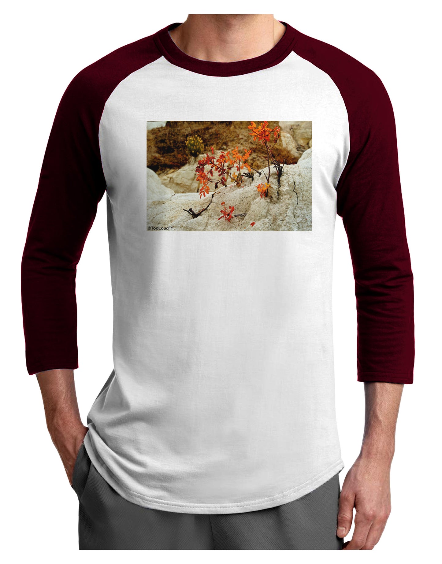 CO Painted Mines Adult Raglan Shirt-Raglan Shirt-TooLoud-White-Cardinal-X-Small-Davson Sales