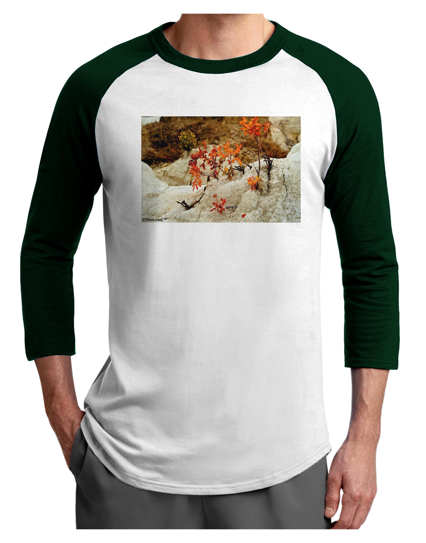 CO Painted Mines Adult Raglan Shirt-Raglan Shirt-TooLoud-White-Forest-X-Small-Davson Sales