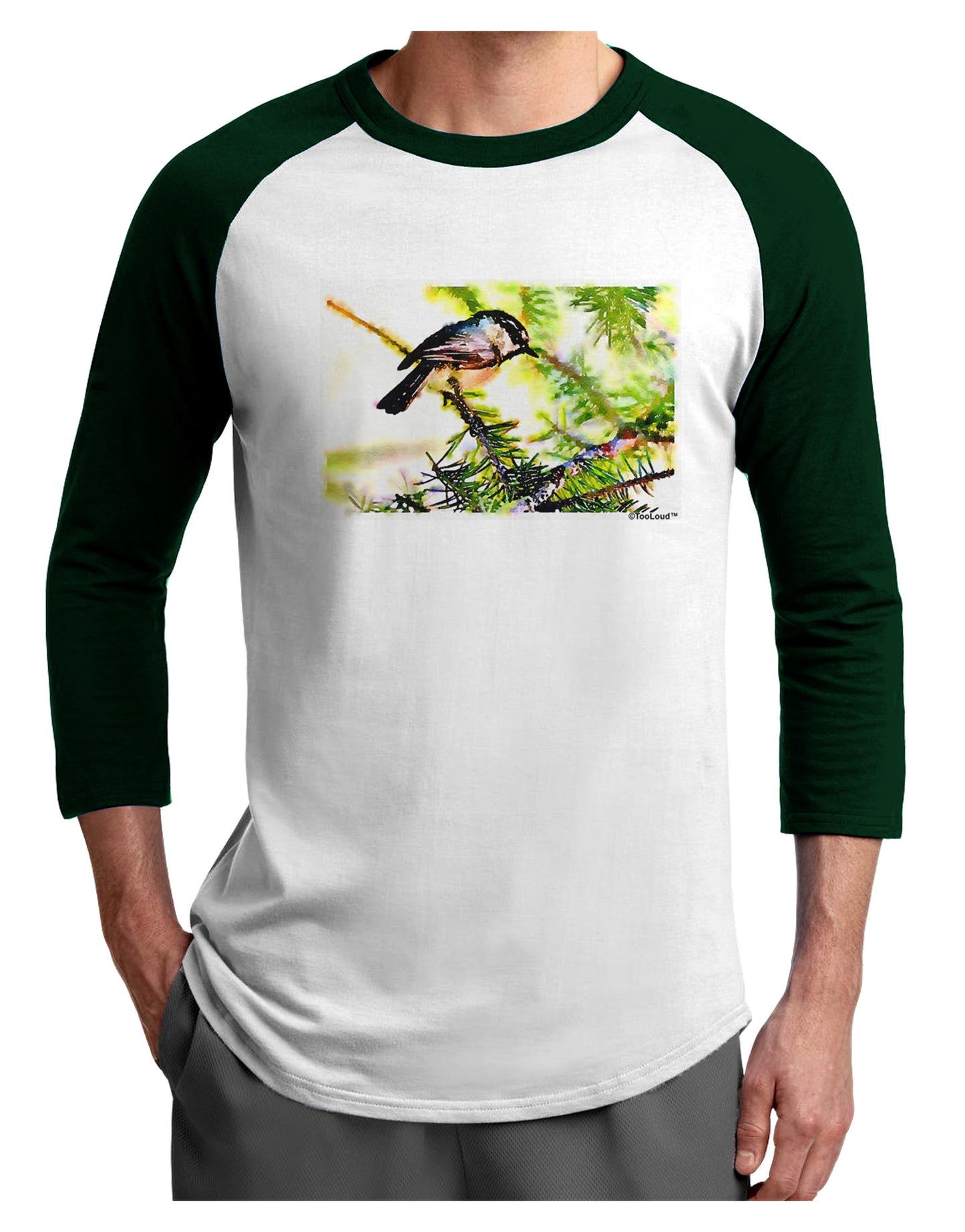 CO Chickadee Watercolor Adult Raglan Shirt-Raglan Shirt-TooLoud-White-Forest-X-Small-Davson Sales