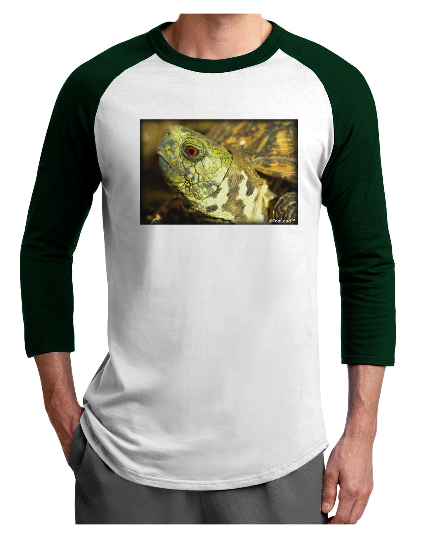 Menacing Turtle Adult Raglan Shirt-Raglan Shirt-TooLoud-White-Forest-X-Small-Davson Sales