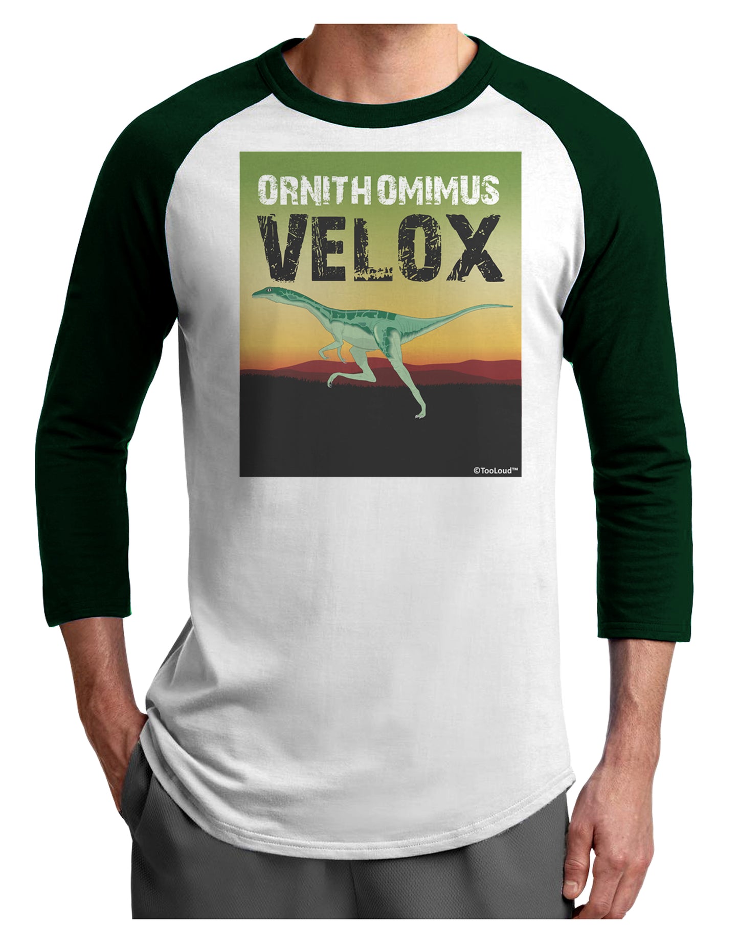 Ornithomimus Velox - With Name Adult Raglan Shirt by TooLoud-TooLoud-White-Forest-X-Small-Davson Sales