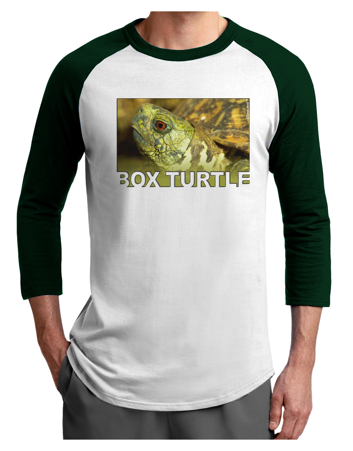 Menacing Turtle with Text Adult Raglan Shirt-Raglan Shirt-TooLoud-White-Forest-X-Small-Davson Sales