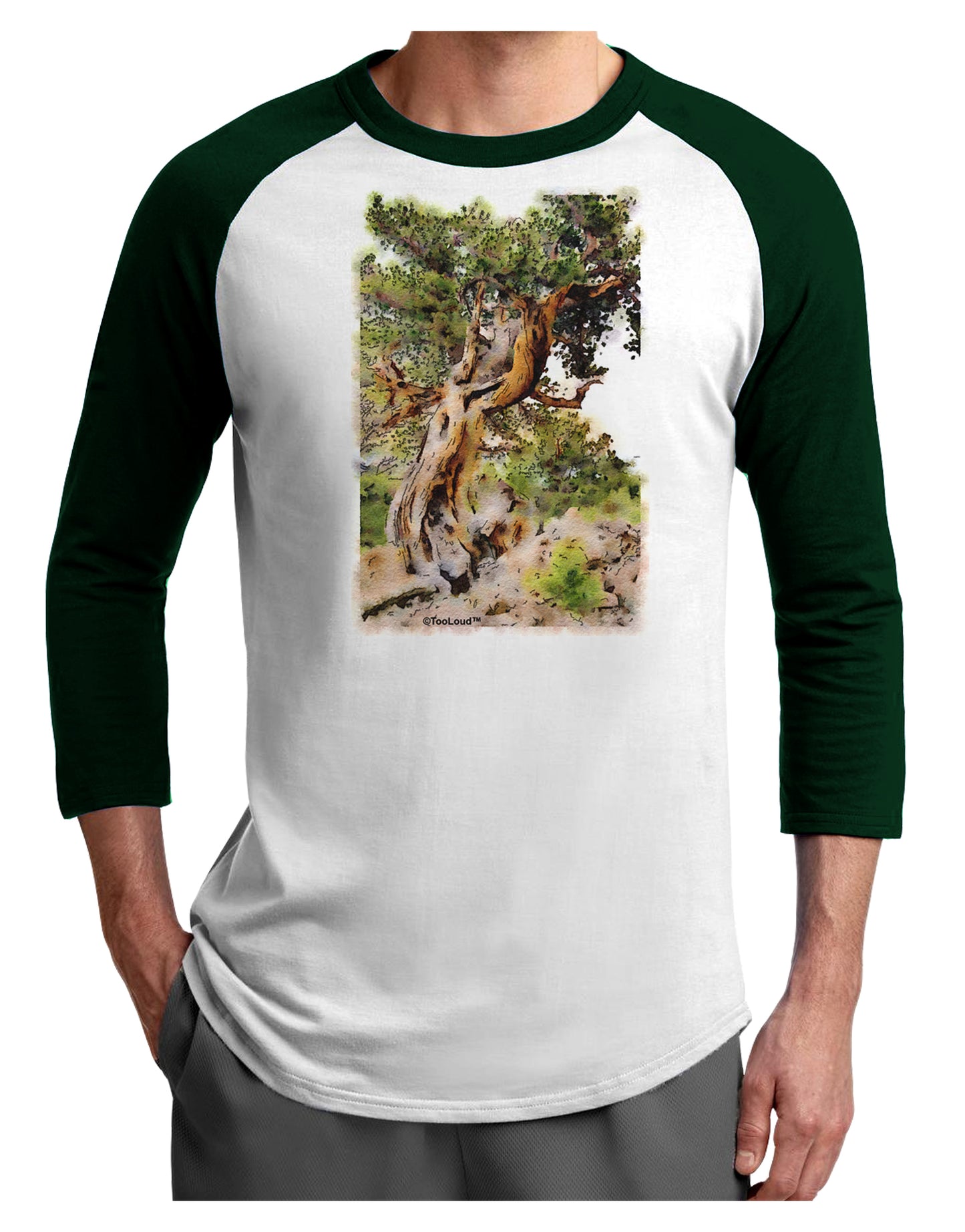 Bristlecone Pines Adult Raglan Shirt-TooLoud-White-Forest-X-Small-Davson Sales