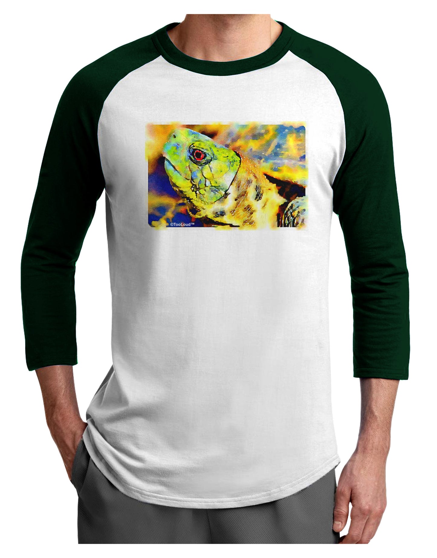 Menacing Turtle Watercolor Adult Raglan Shirt-Raglan Shirt-TooLoud-White-Forest-X-Small-Davson Sales