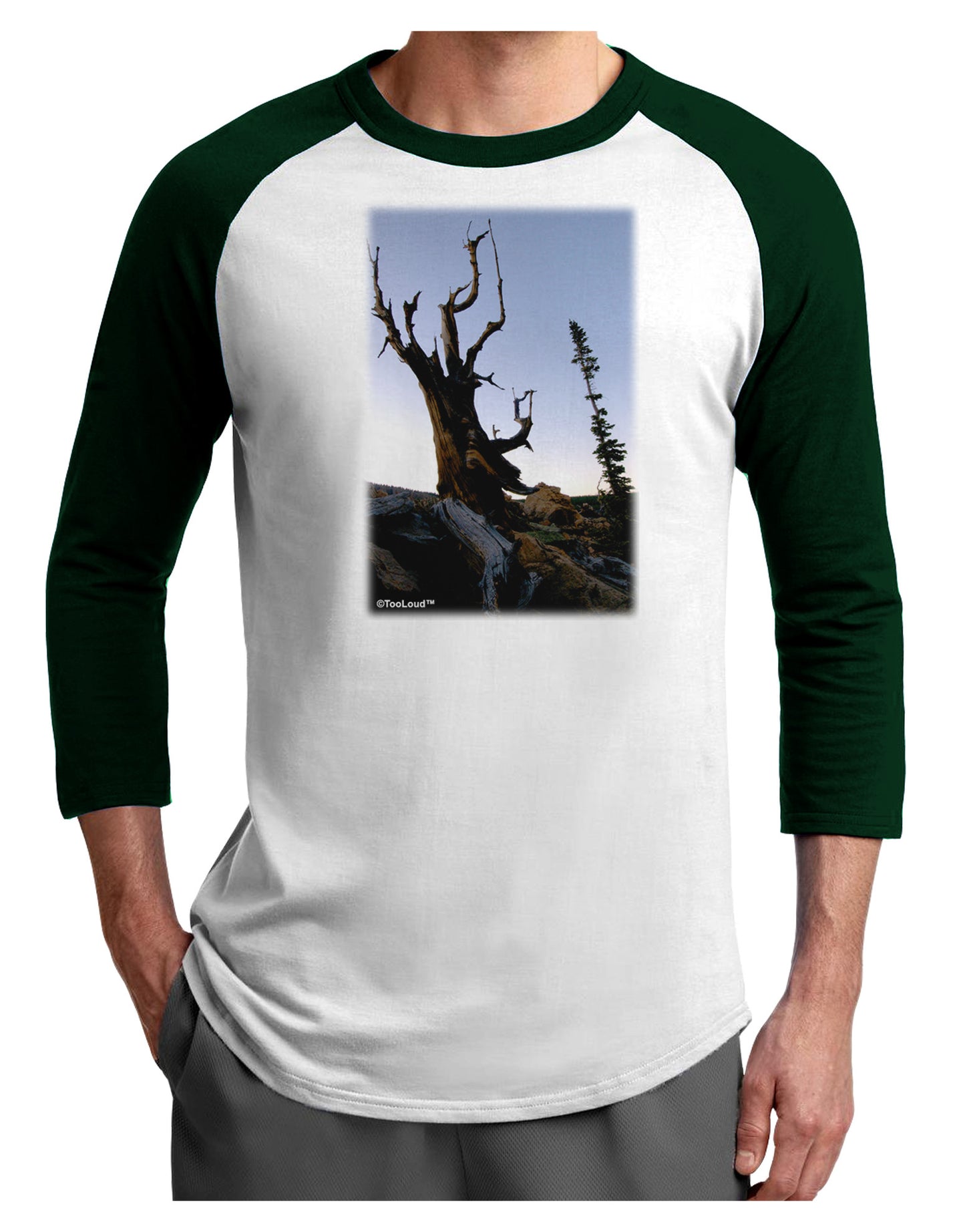 Colorado Mountain Scenery Adult Raglan Shirt-TooLoud-White-Forest-X-Small-Davson Sales