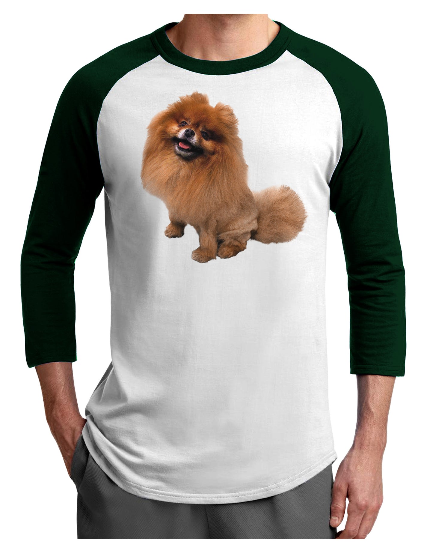 Pomeranian Sitting All Cute-Like Adult Raglan Shirt-Raglan Shirt-TooLoud-White-Forest-X-Small-Davson Sales