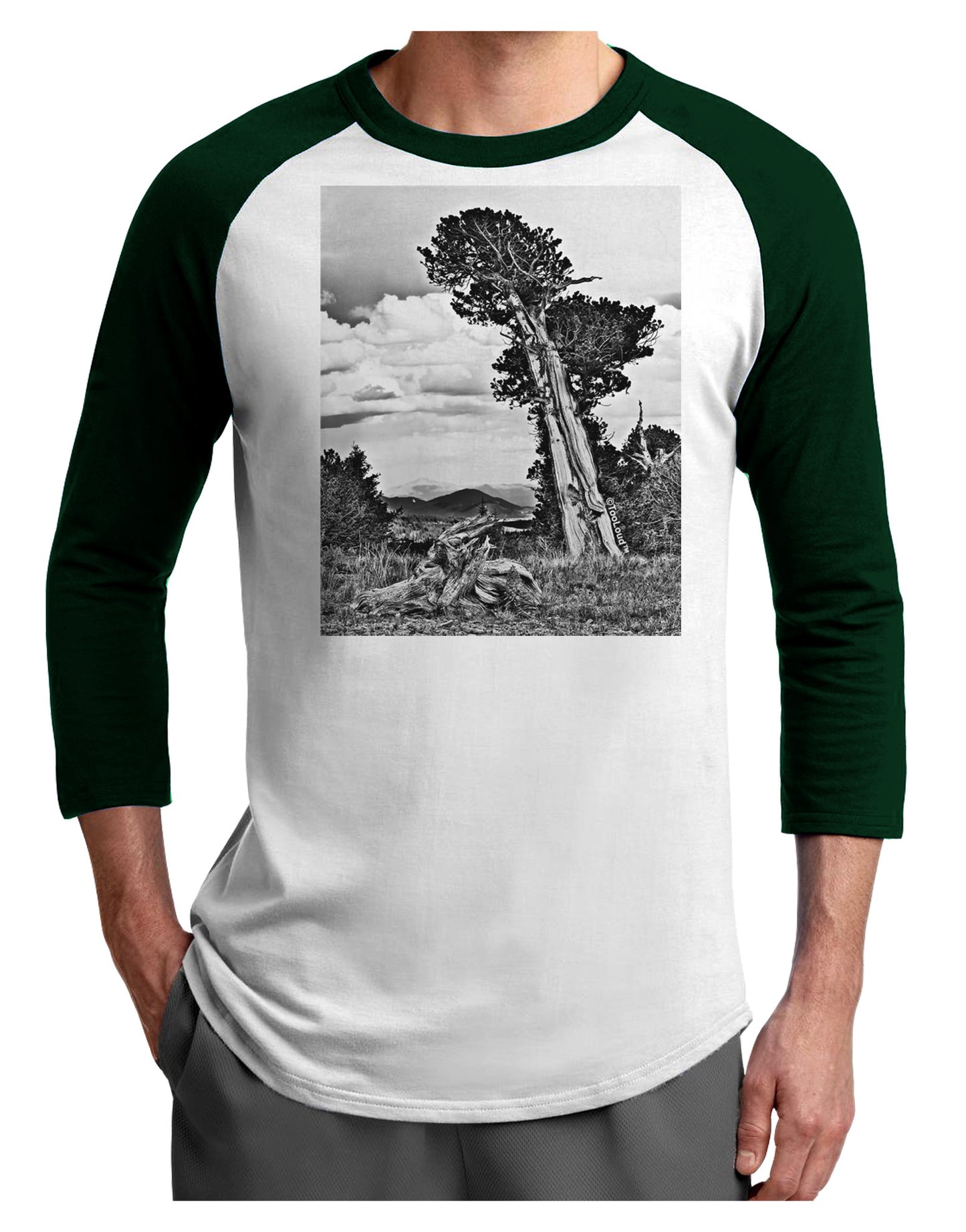 Colorado Landscape Monochrome Adult Raglan Shirt-TooLoud-White-Forest-X-Small-Davson Sales