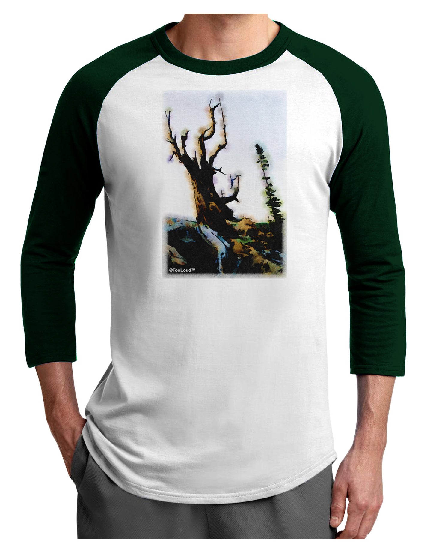 CO Mountain Scenery Watercolor Adult Raglan Shirt-TooLoud-White-Forest-X-Small-Davson Sales