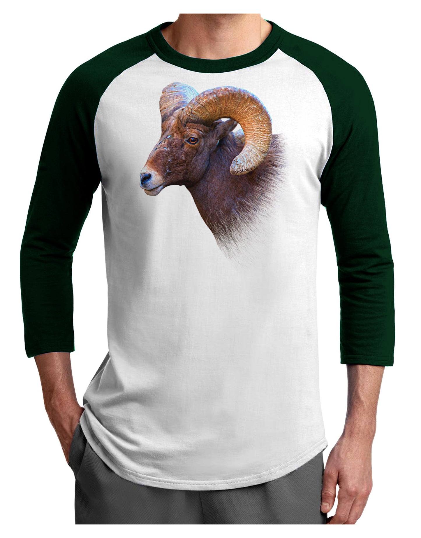 Majestic Bighorn Ram Adult Raglan Shirt-Raglan Shirt-TooLoud-White-Forest-X-Small-Davson Sales