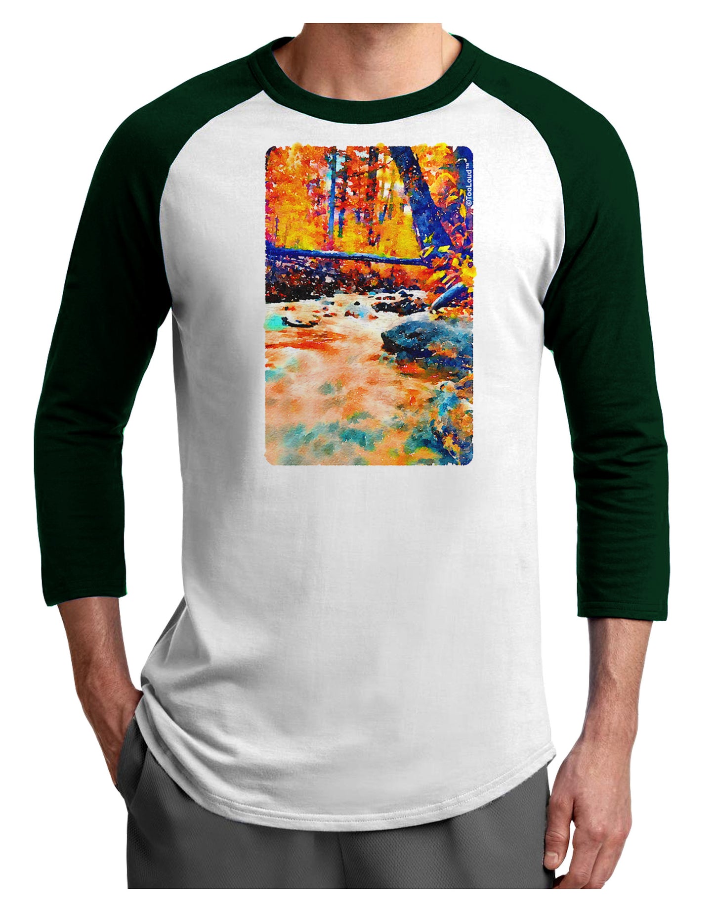 Mt Shavano Colorado Watercolor Adult Raglan Shirt-TooLoud-White-Forest-X-Small-Davson Sales