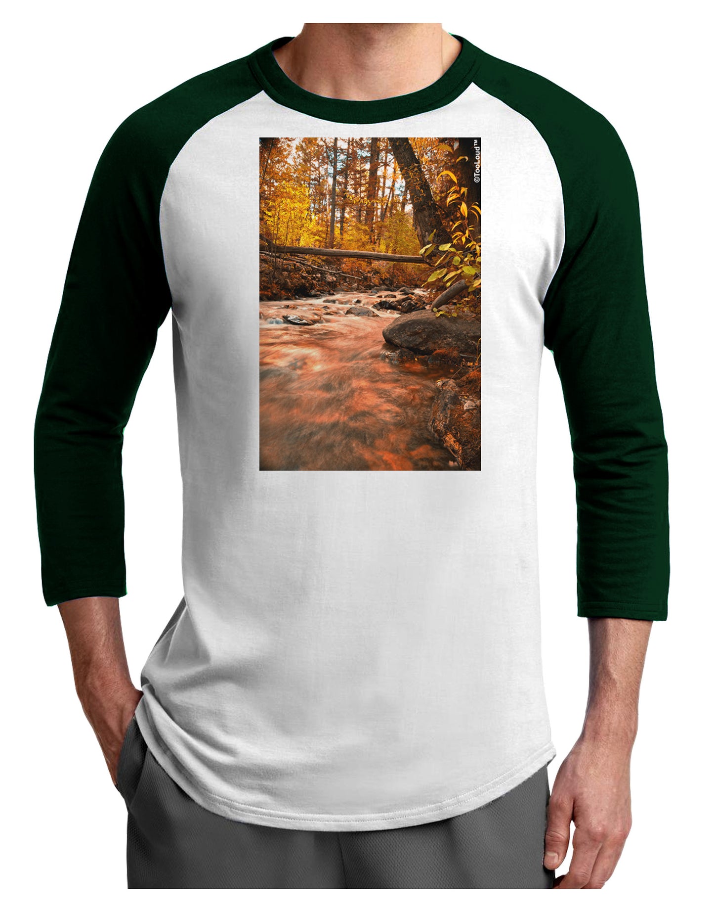 Mt Shavano Colorado Adult Raglan Shirt-TooLoud-White-Forest-X-Small-Davson Sales