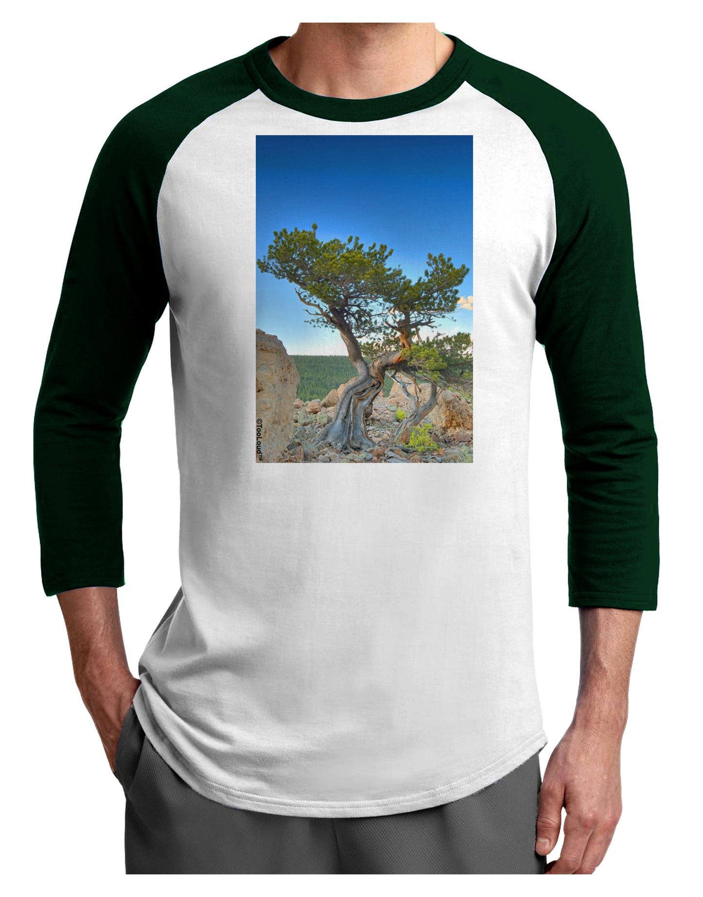 Colorado Landscape Tree Adult Raglan Shirt-TooLoud-White-Forest-X-Small-Davson Sales