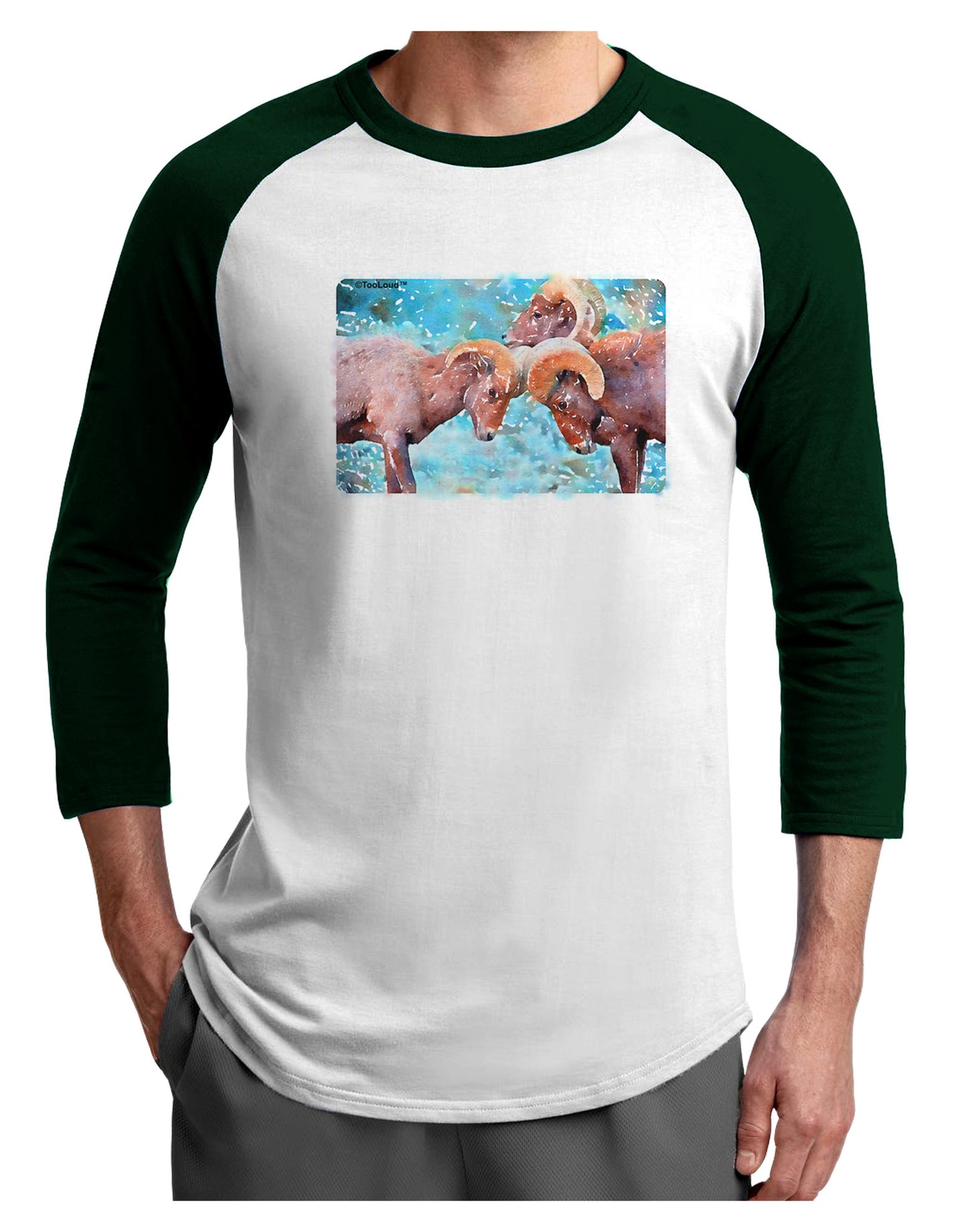 CO Bighorn Head Butt Watercolor Adult Raglan Shirt-TooLoud-White-Forest-X-Small-Davson Sales