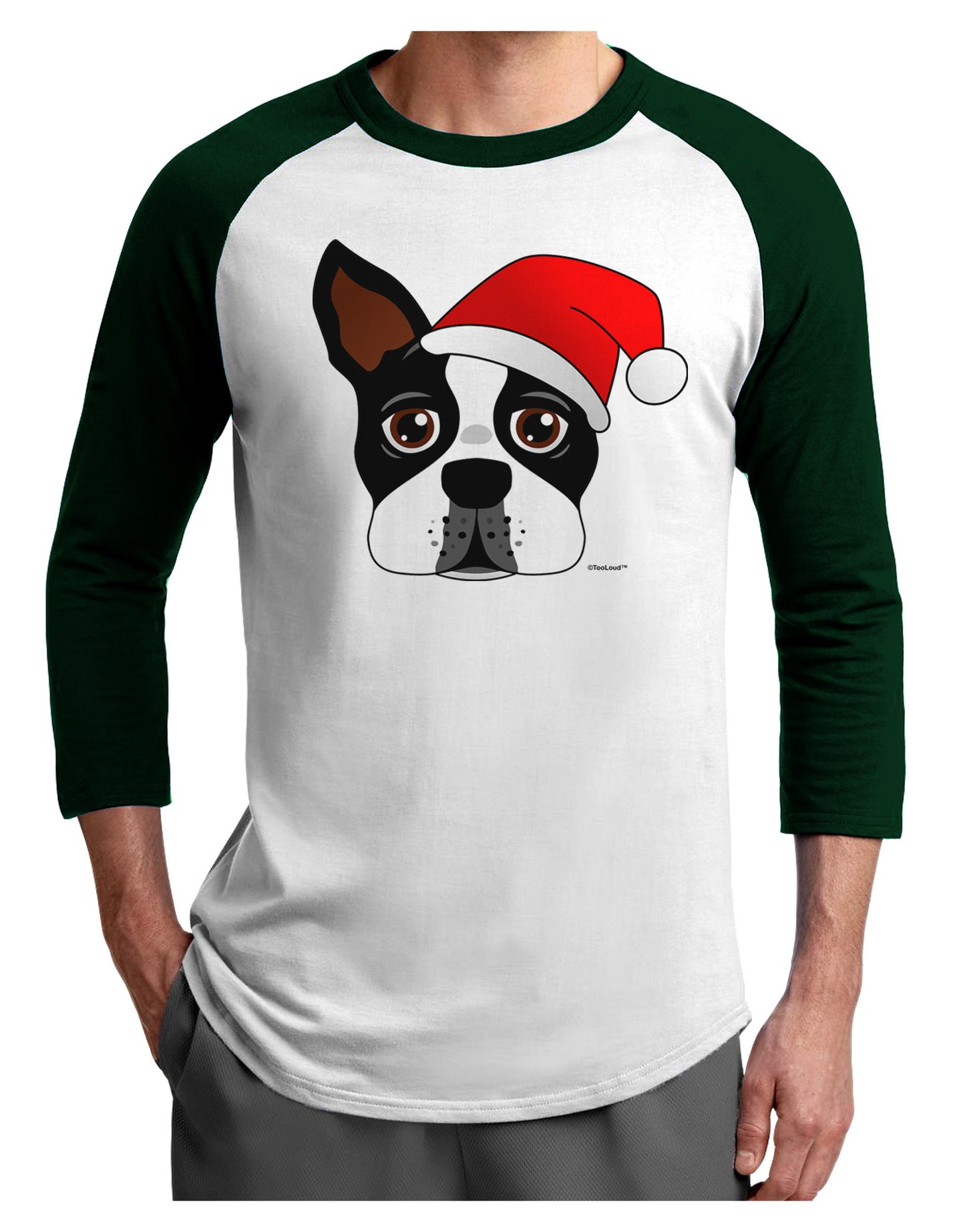 Cute Dog with Santa Hat - Christmas Adult Raglan Shirt-TooLoud-White-Forest-X-Small-Davson Sales