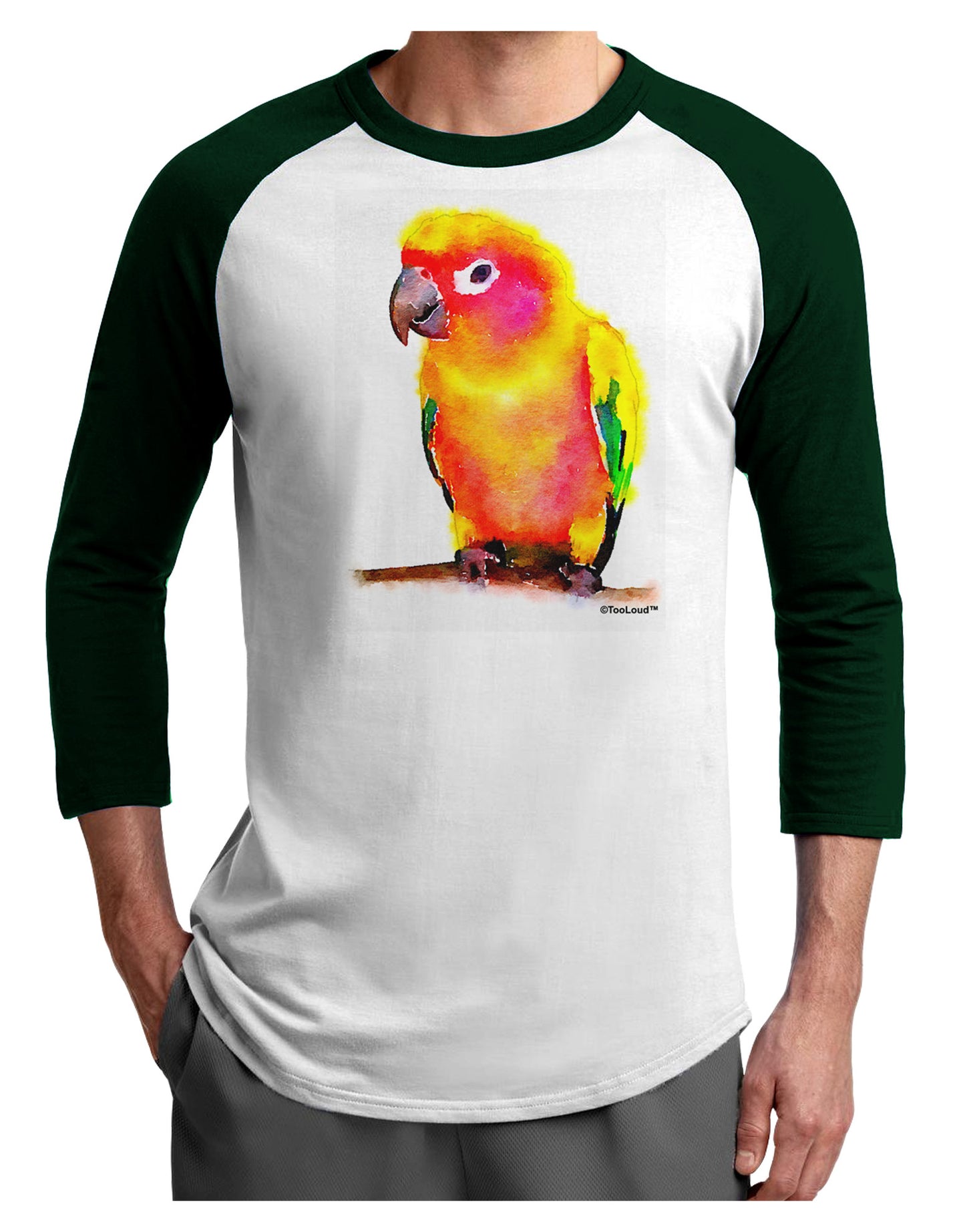 Sun Conure Parrot Watercolor Adult Raglan Shirt-TooLoud-White-Forest-X-Small-Davson Sales