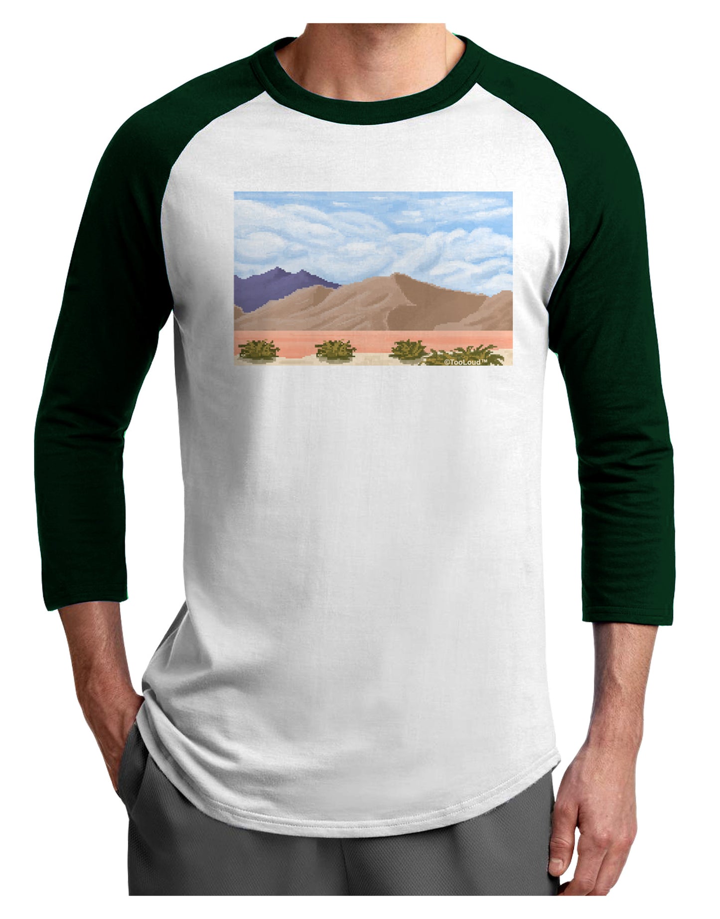 Pixel Landscape - Desert Adult Raglan Shirt-TooLoud-White-Forest-X-Small-Davson Sales