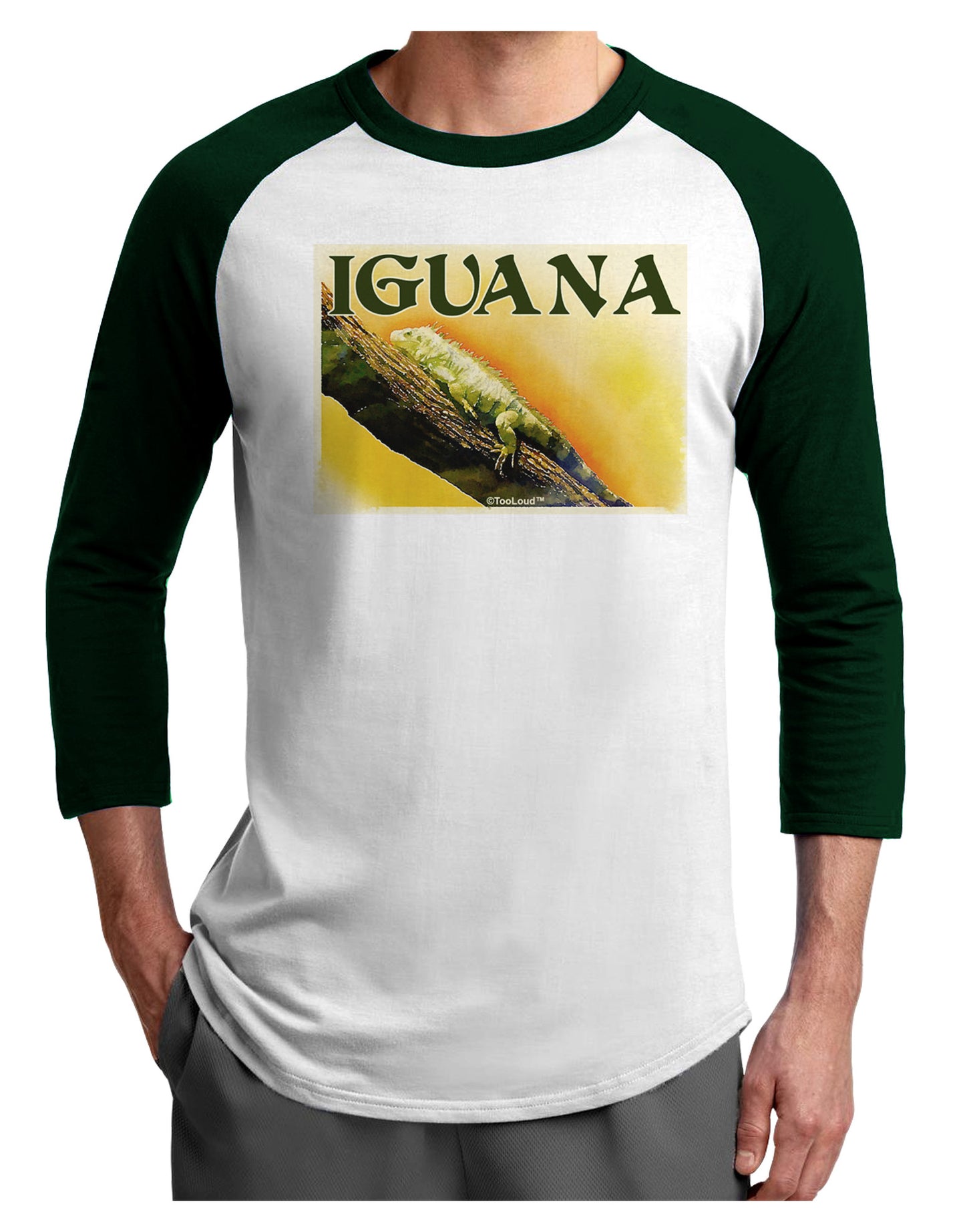 Iguana Watercolor Text Adult Raglan Shirt-TooLoud-White-Forest-X-Small-Davson Sales