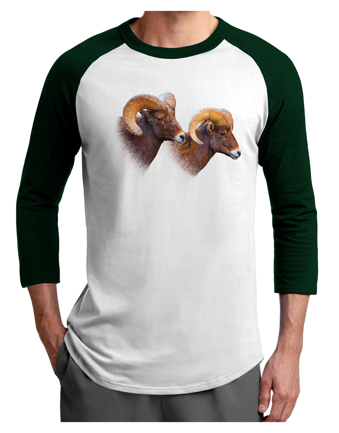 TooLoud Two Majestic Bighorn Rams Adult Raglan Shirt-Raglan Shirt-TooLoud-White-Forest-X-Small-Davson Sales