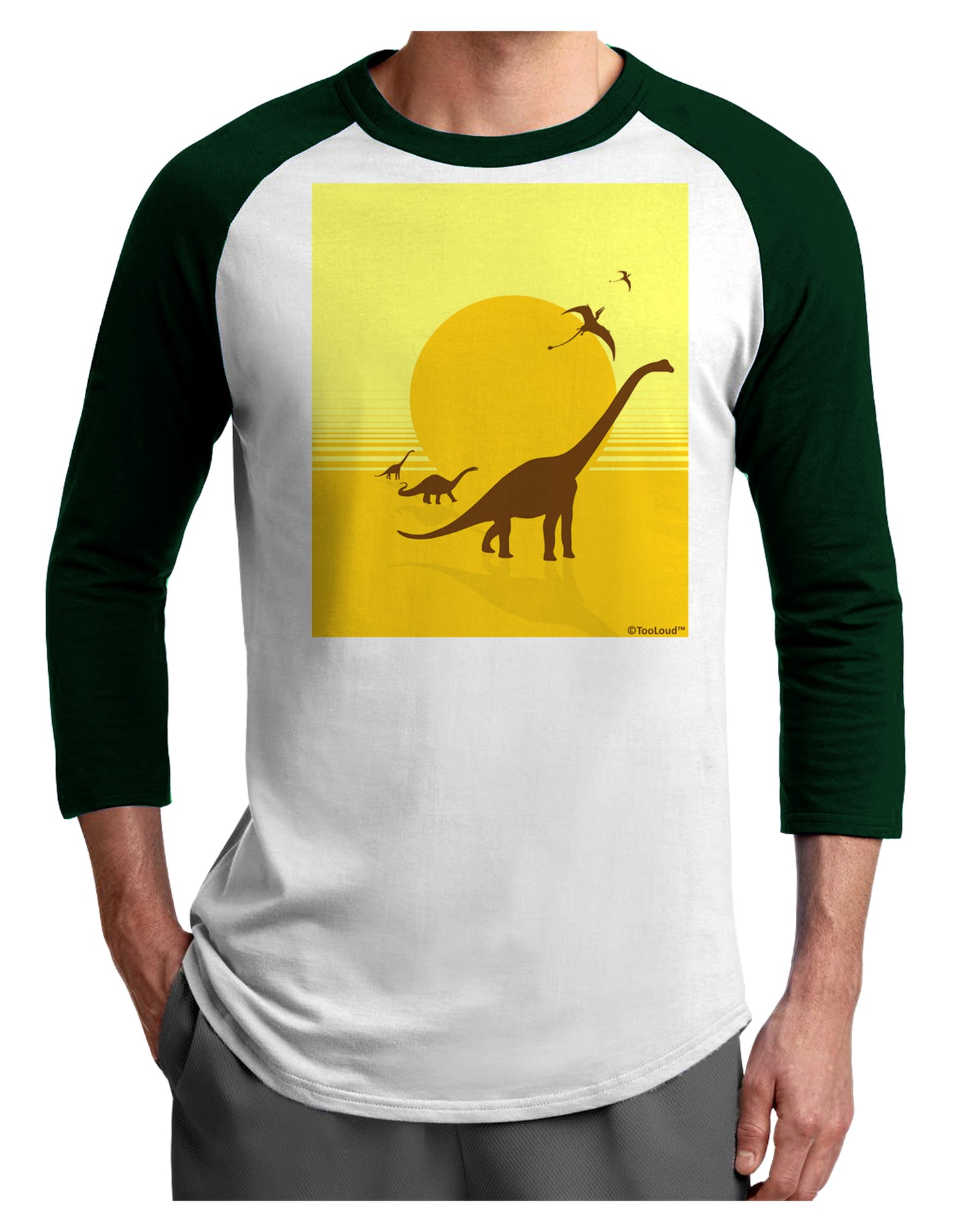 Brontosaurus and Pterodactyl Silhouettes with Sun Adult Raglan Shirt by TooLoud-TooLoud-White-Forest-X-Small-Davson Sales