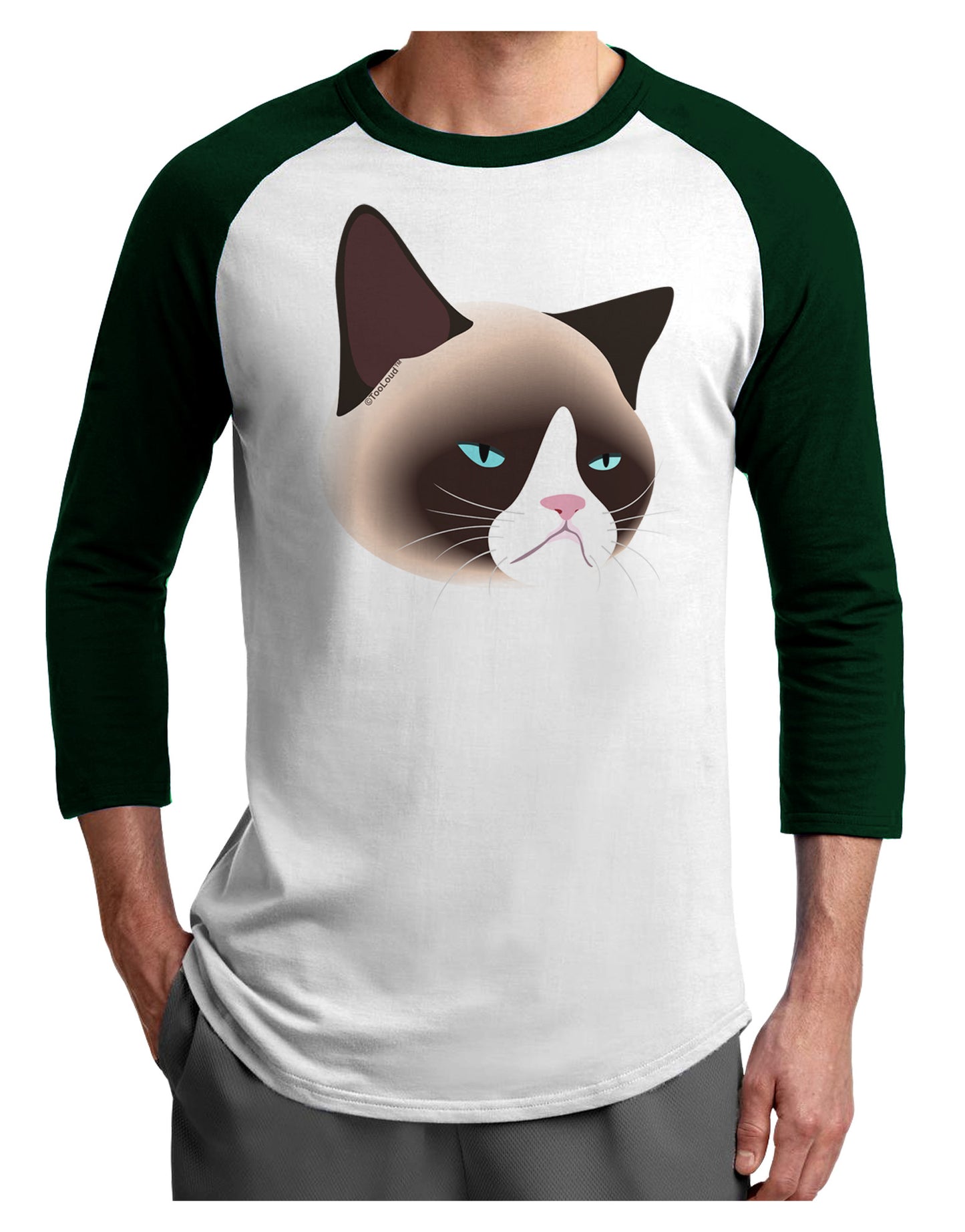 Cute Disgruntled Siamese Cat Adult Raglan Shirt-Raglan Shirt-TooLoud-White-Forest-X-Small-Davson Sales