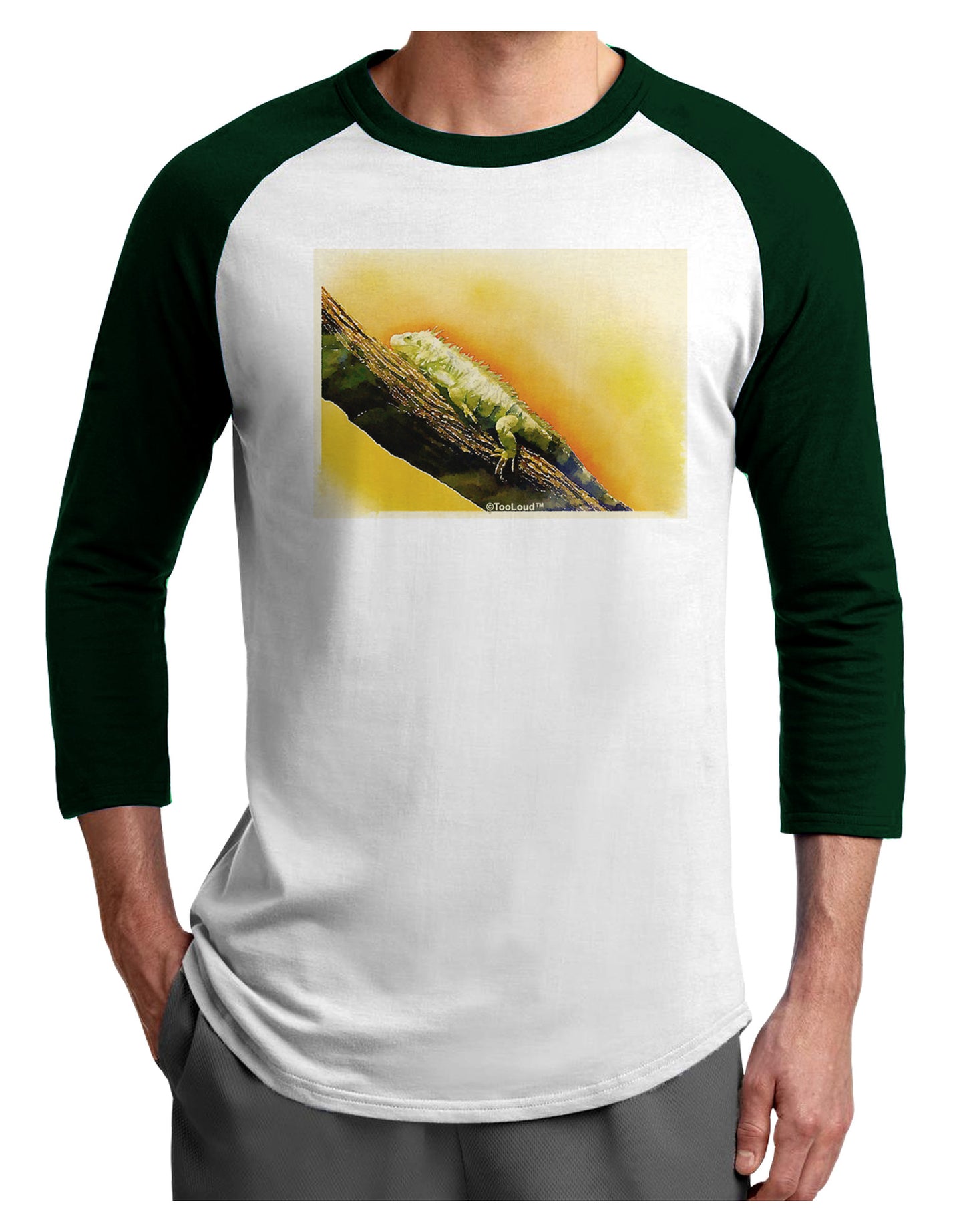 Iguana Watercolor Adult Raglan Shirt-TooLoud-White-Forest-X-Small-Davson Sales