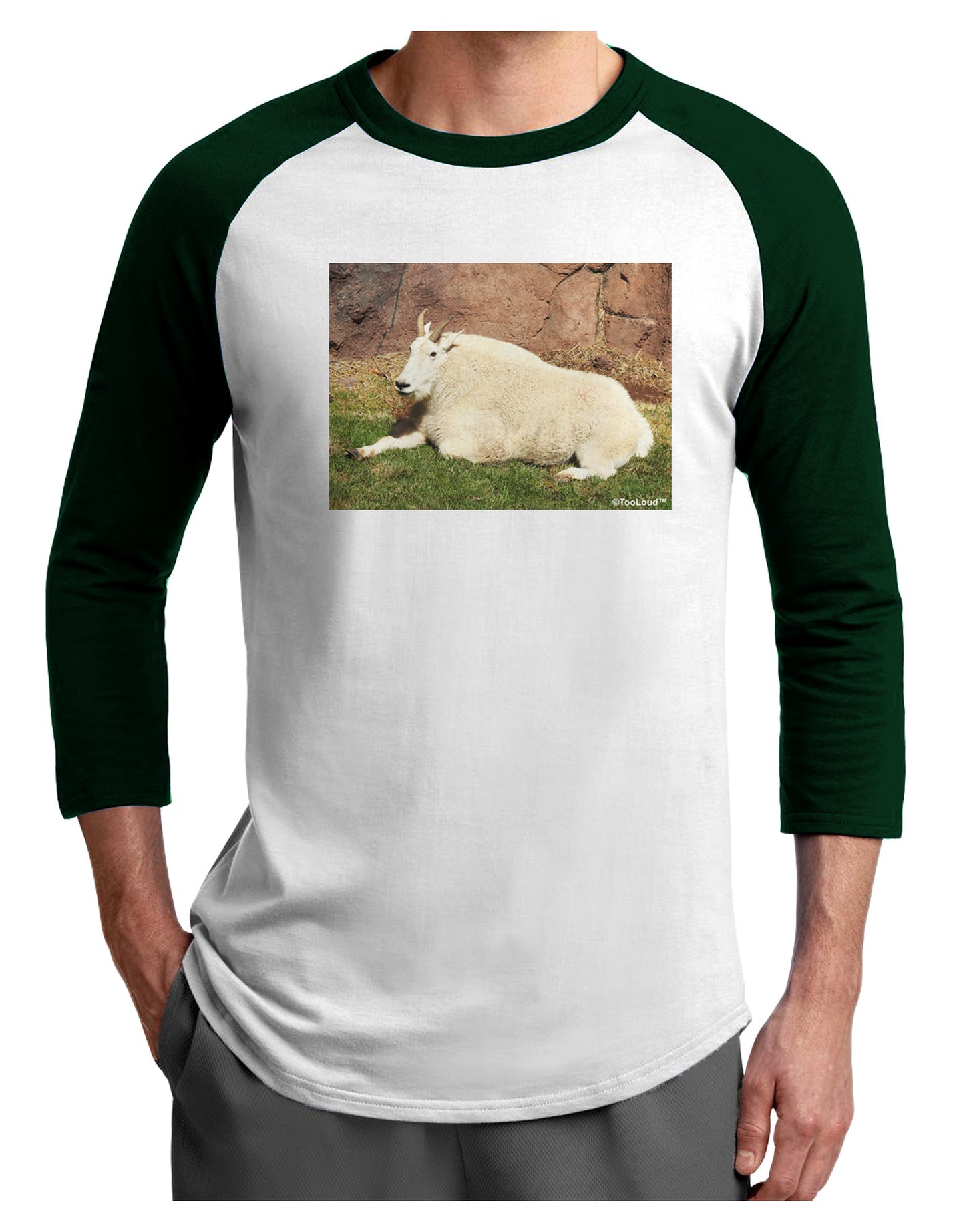 Relaxing Ram Adult Raglan Shirt-Raglan Shirt-TooLoud-White-Forest-X-Small-Davson Sales