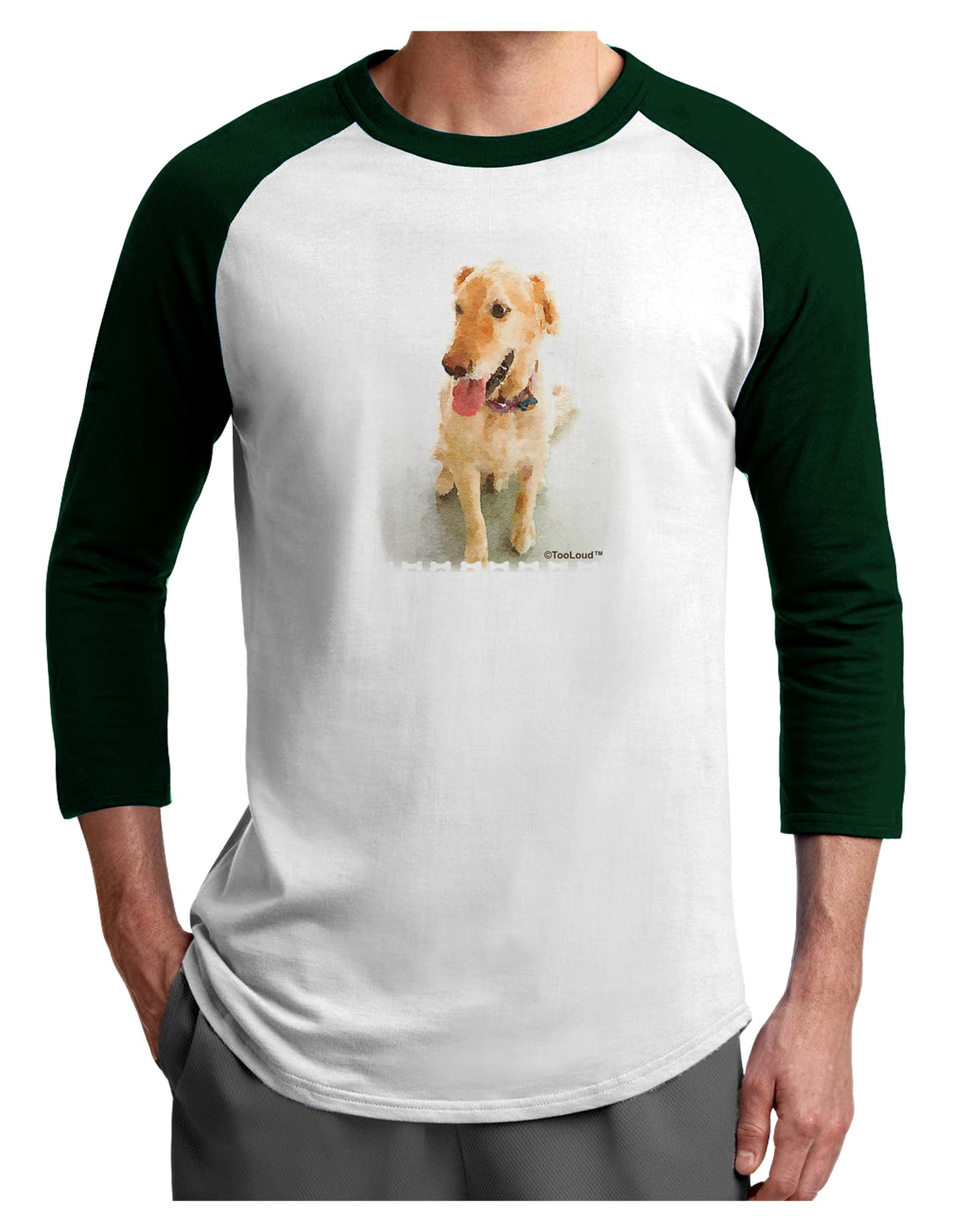 Golden Retriever Watercolor Adult Raglan Shirt-Raglan Shirt-TooLoud-White-Forest-X-Small-Davson Sales