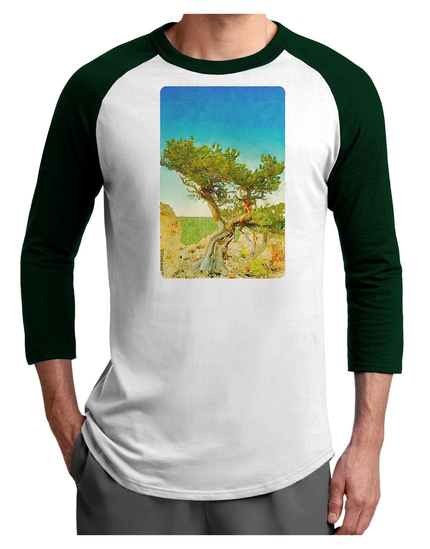 Colorado Tree Watercolor Adult Raglan Shirt-TooLoud-White-Forest-X-Small-Davson Sales