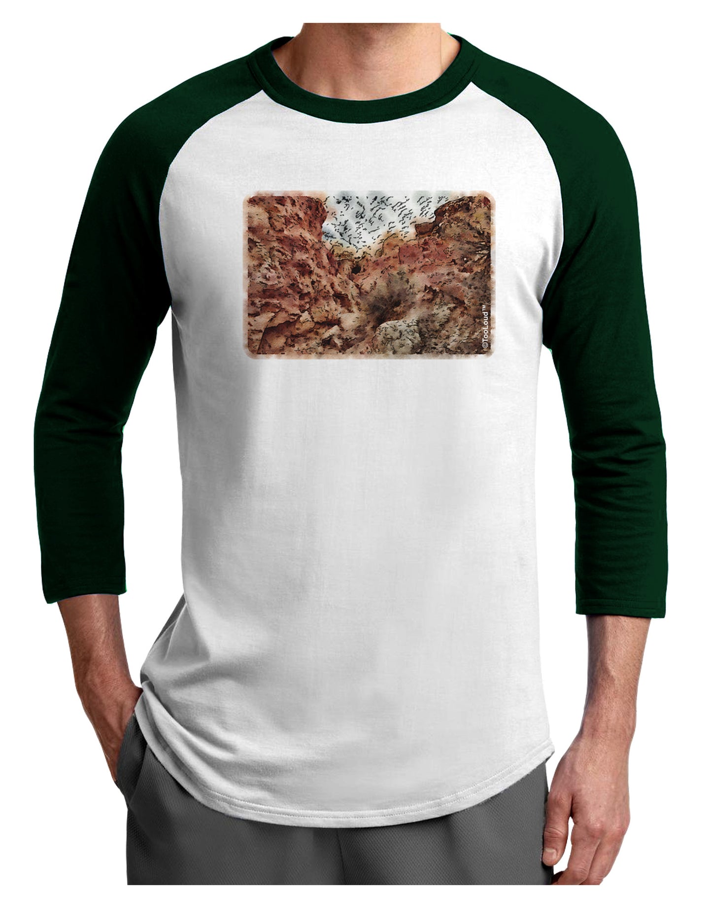 Colorado Painted Rocks Watercolor Adult Raglan Shirt-Raglan Shirt-TooLoud-White-Forest-X-Small-Davson Sales