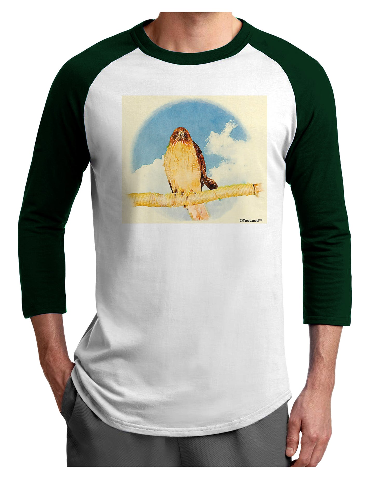 Red-tailed Hawk Adult Raglan Shirt-TooLoud-White-Forest-X-Small-Davson Sales