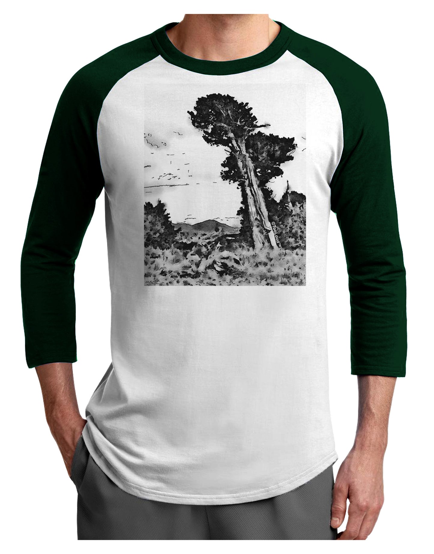 Colorado Landscape Watercolor BW Adult Raglan Shirt-TooLoud-White-Forest-X-Small-Davson Sales