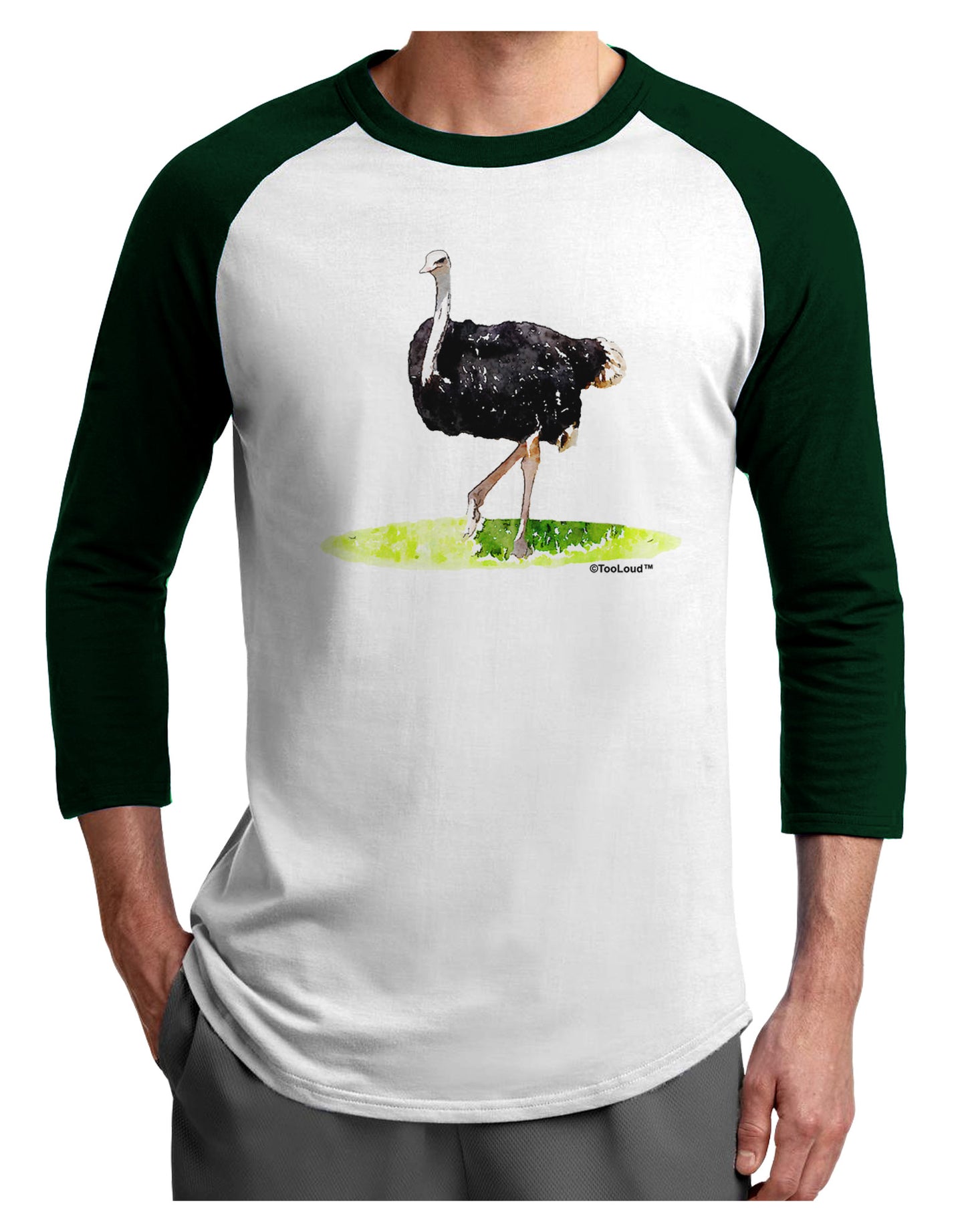 Ostrich Watercolor Adult Raglan Shirt-TooLoud-White-Forest-X-Small-Davson Sales