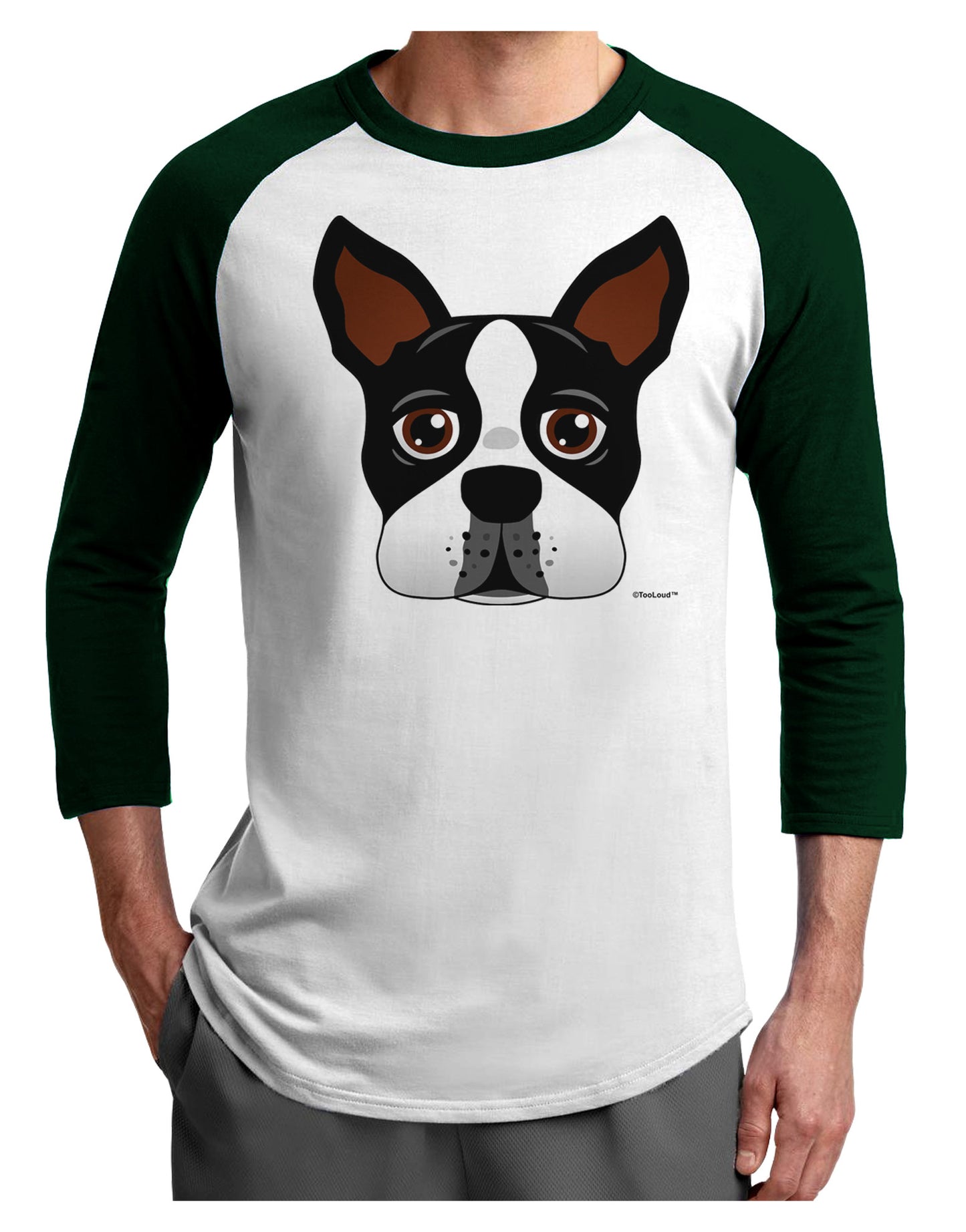 Cute Boston Terrier Dog Face Adult Raglan Shirt-TooLoud-White-Forest-X-Small-Davson Sales