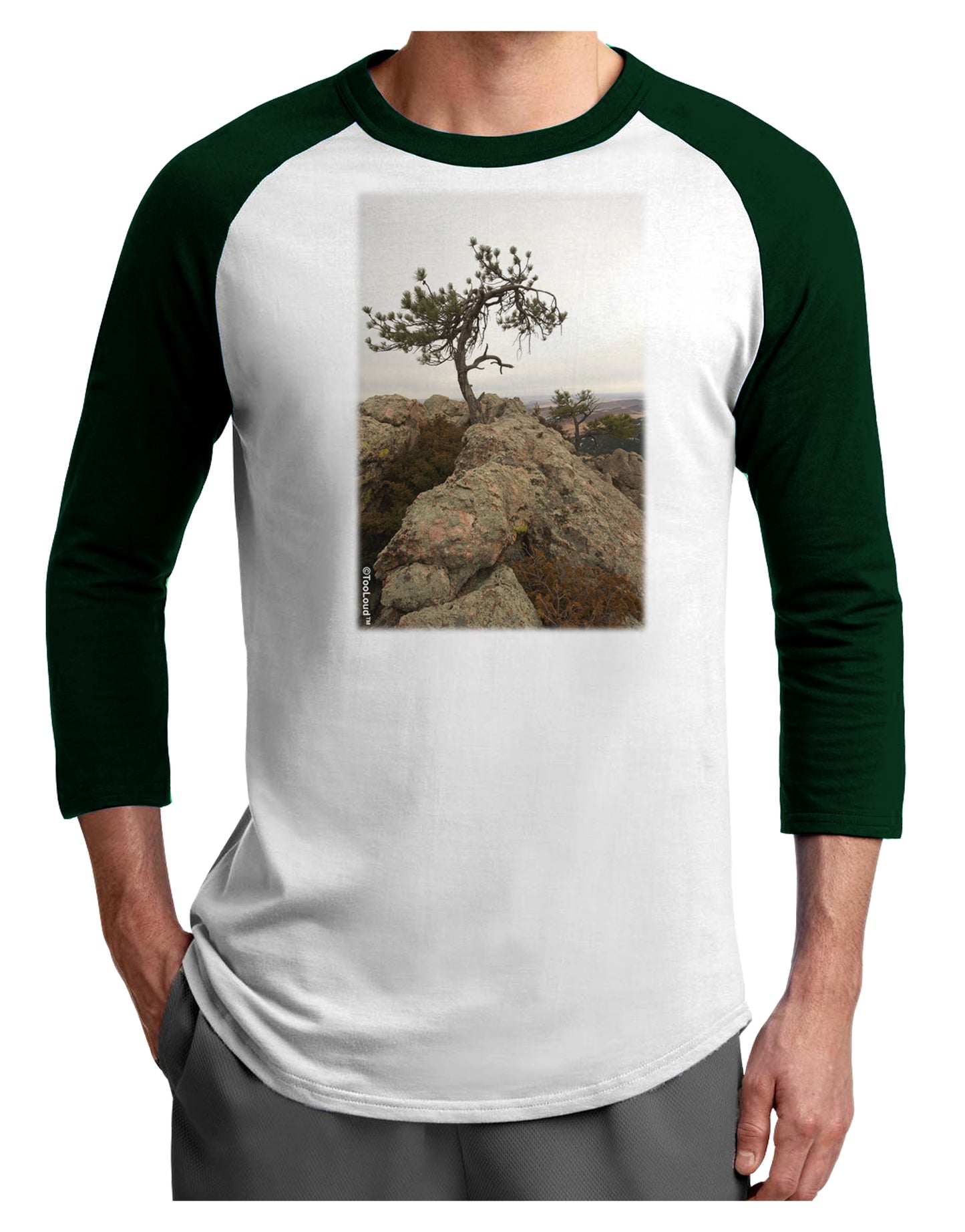 Stone Tree Colorado Adult Raglan Shirt by TooLoud-TooLoud-White-Forest-X-Small-Davson Sales