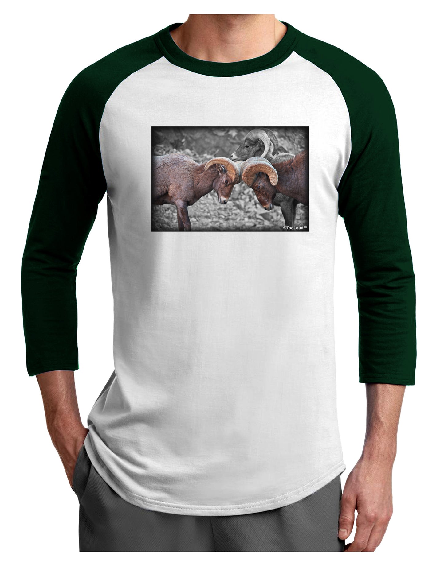 CO Bighorn Head Butt Desaturated Adult Raglan Shirt-TooLoud-White-Forest-X-Small-Davson Sales